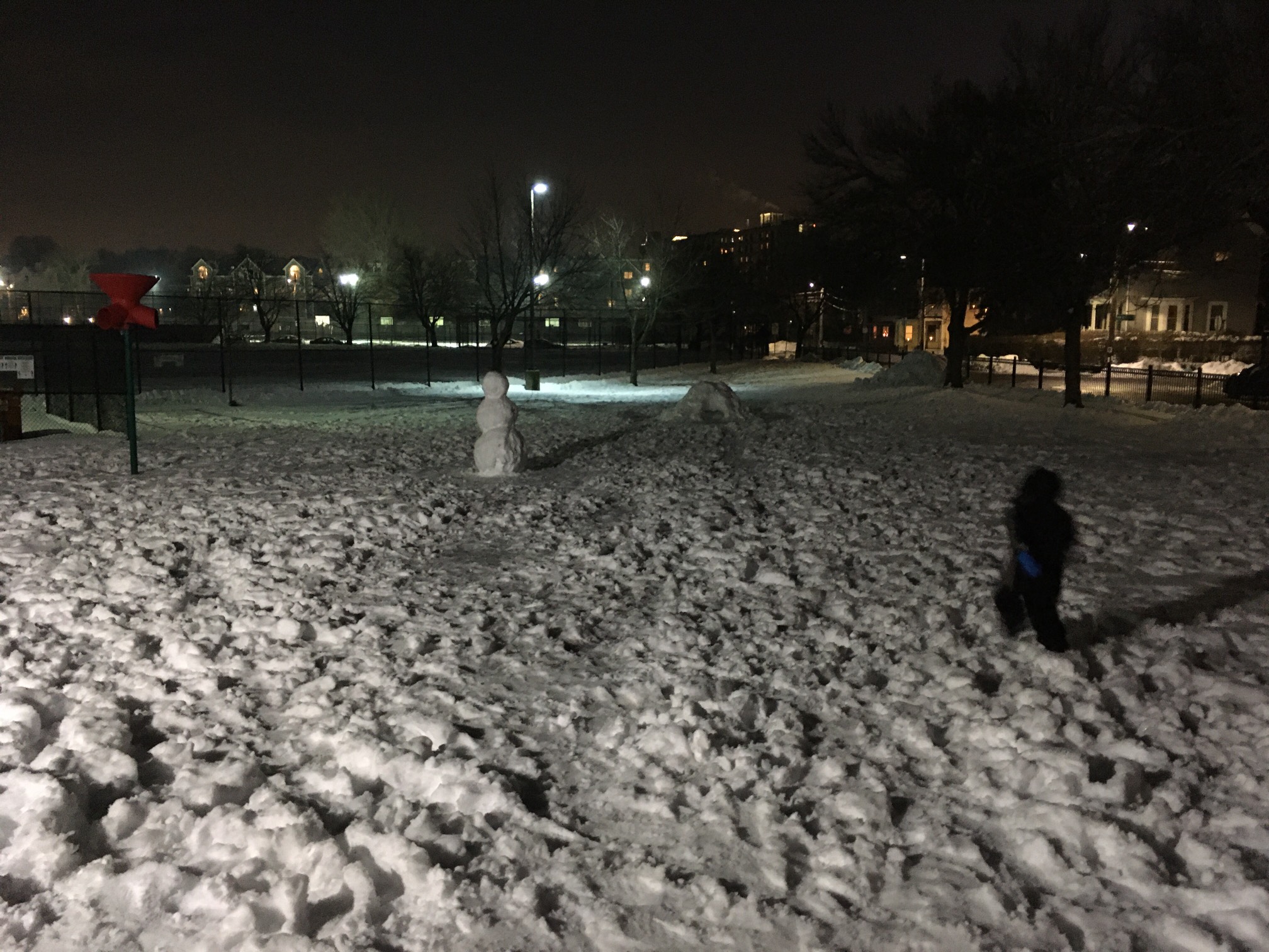 Snow field