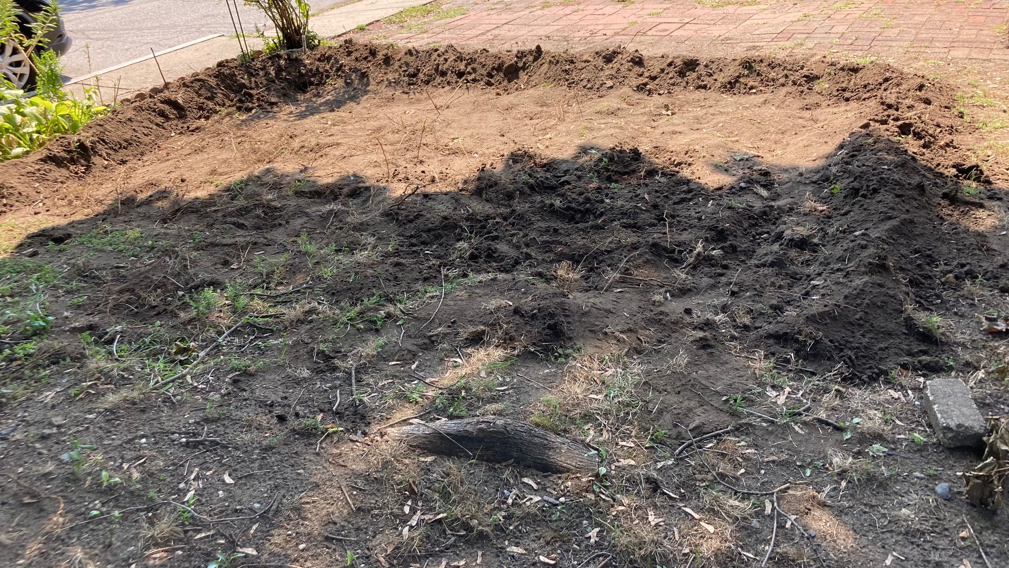 Further rain garden progress. Now we need to do some deepening from the middle to make it vaguely co