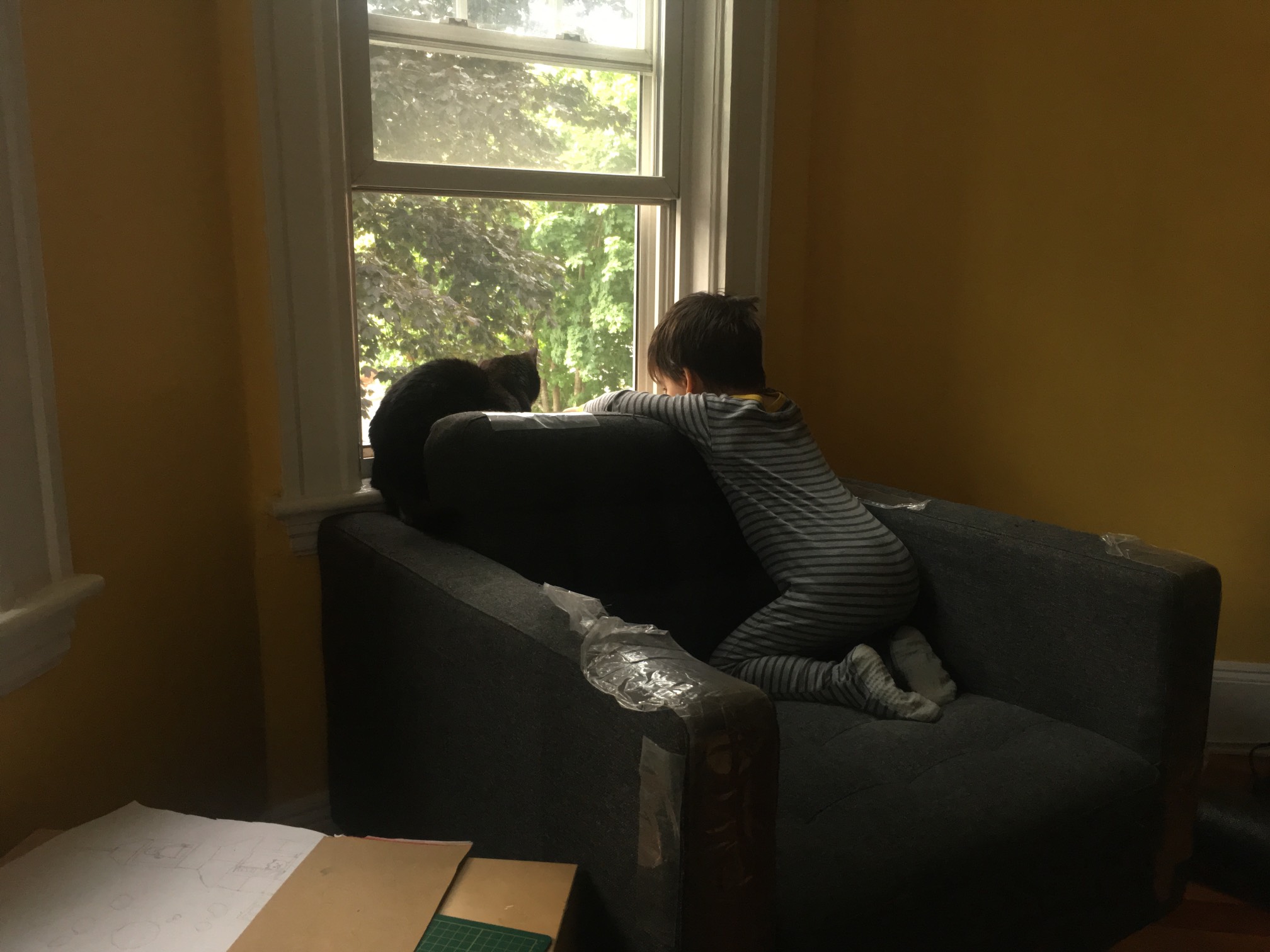 Window stare time