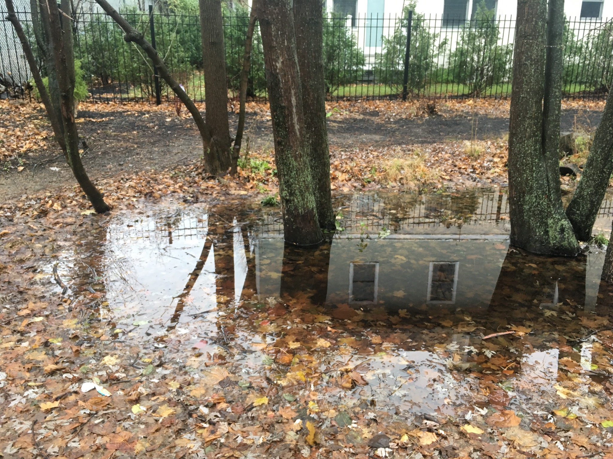 Earlier today: 8-4-5-3-3-4. It was soggy out.