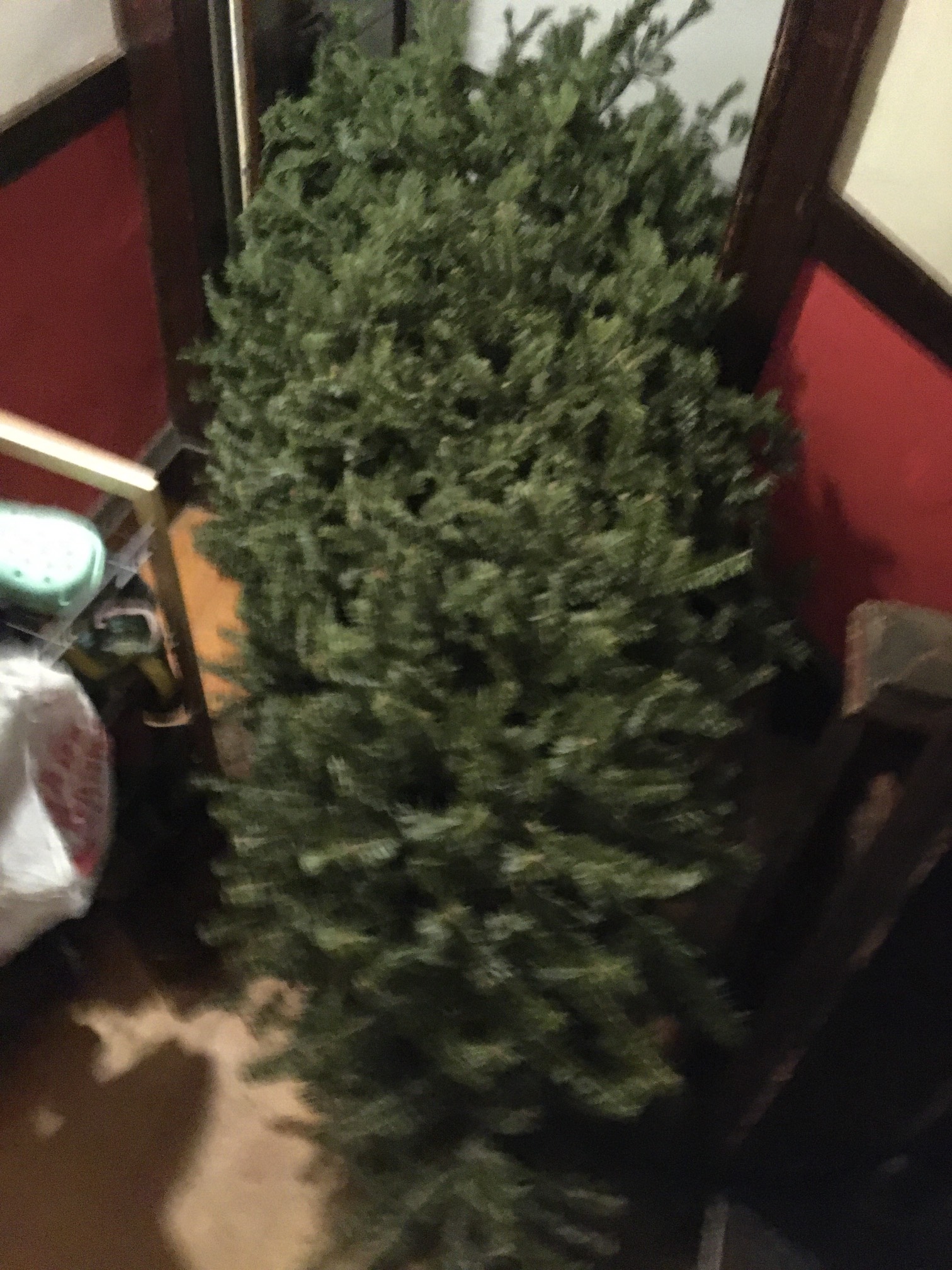 Getting a smaller tree next year.
