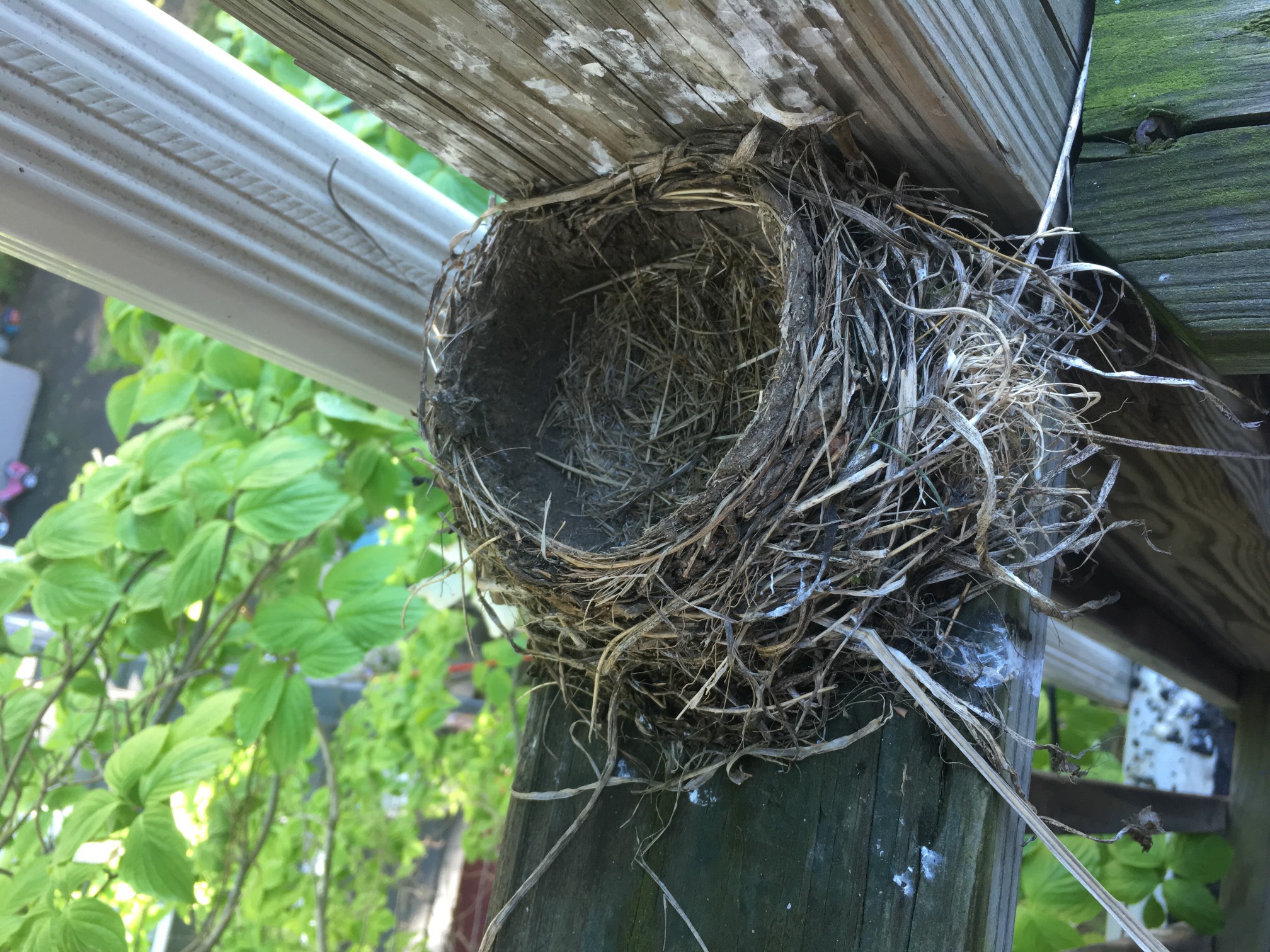 Sunday: Nest is over