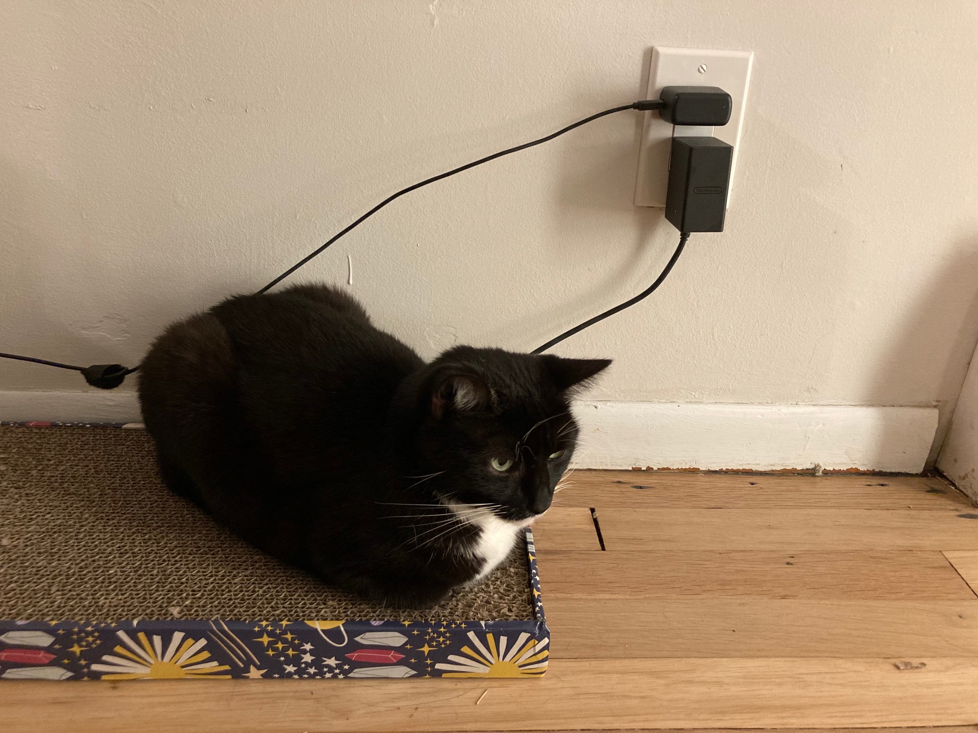 Wily is charging for tomorrow.
