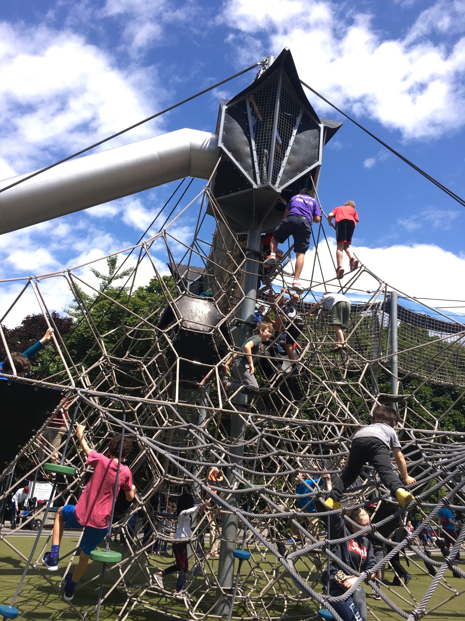 They have the largest of the the 3D hive climbing structures at Seattle Center.