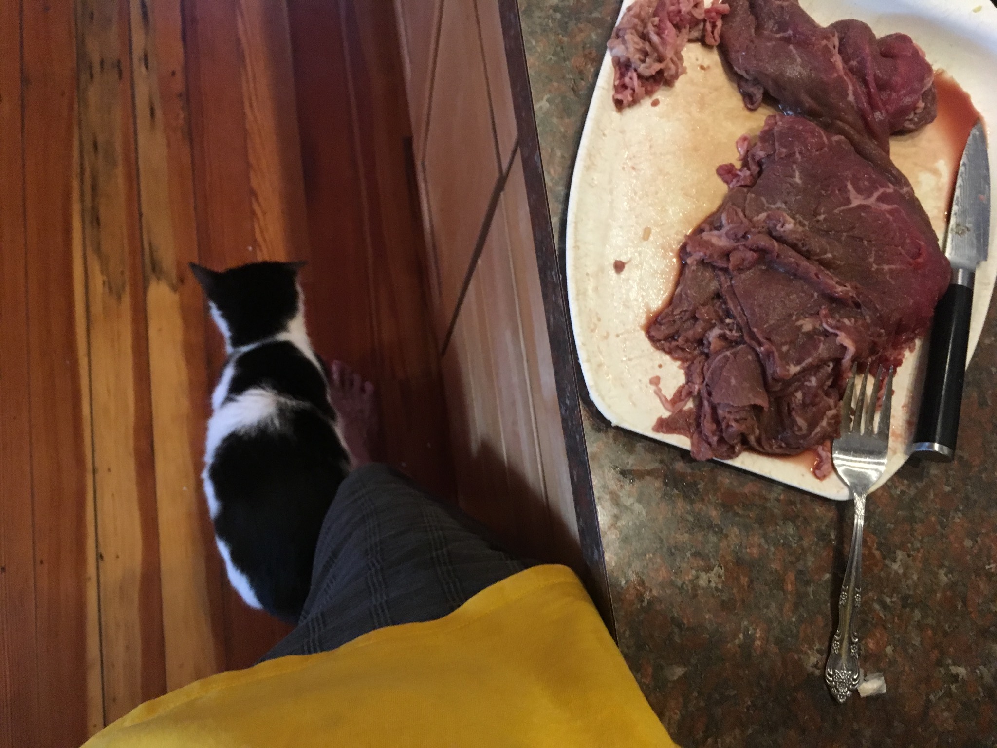 Bonus Cat has awoken from his nap. He has Smidgeo Wake on Beef. 