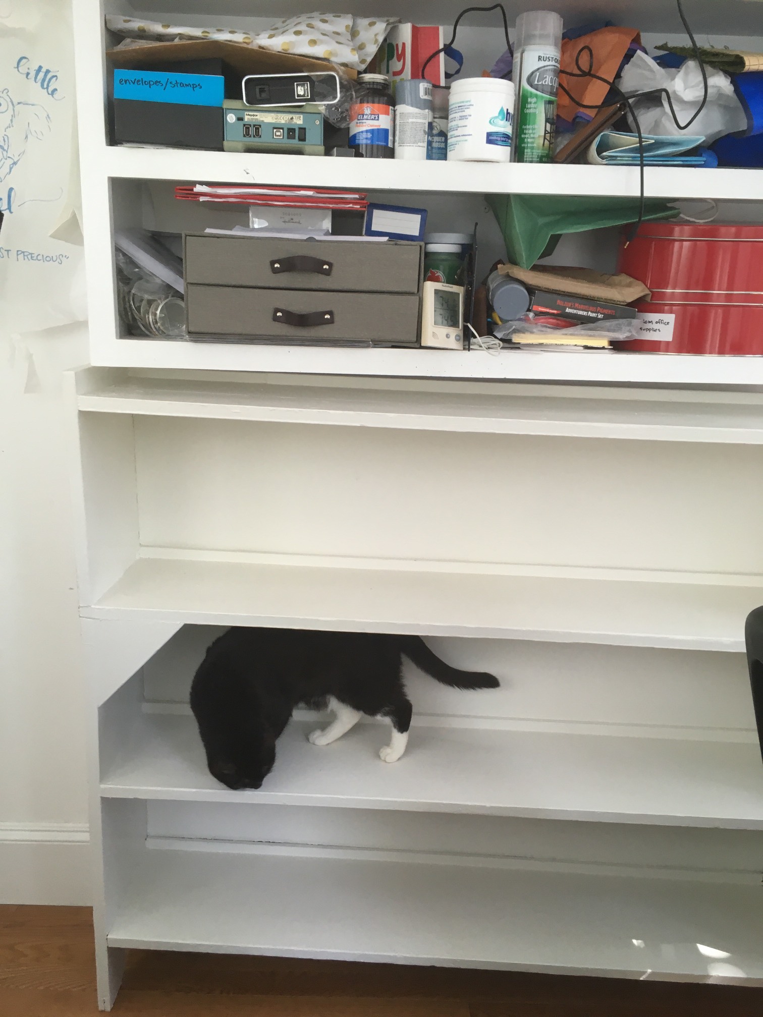 We grabbed a free bookcase from a few houses away, and it happened to match the existing bookcase (o