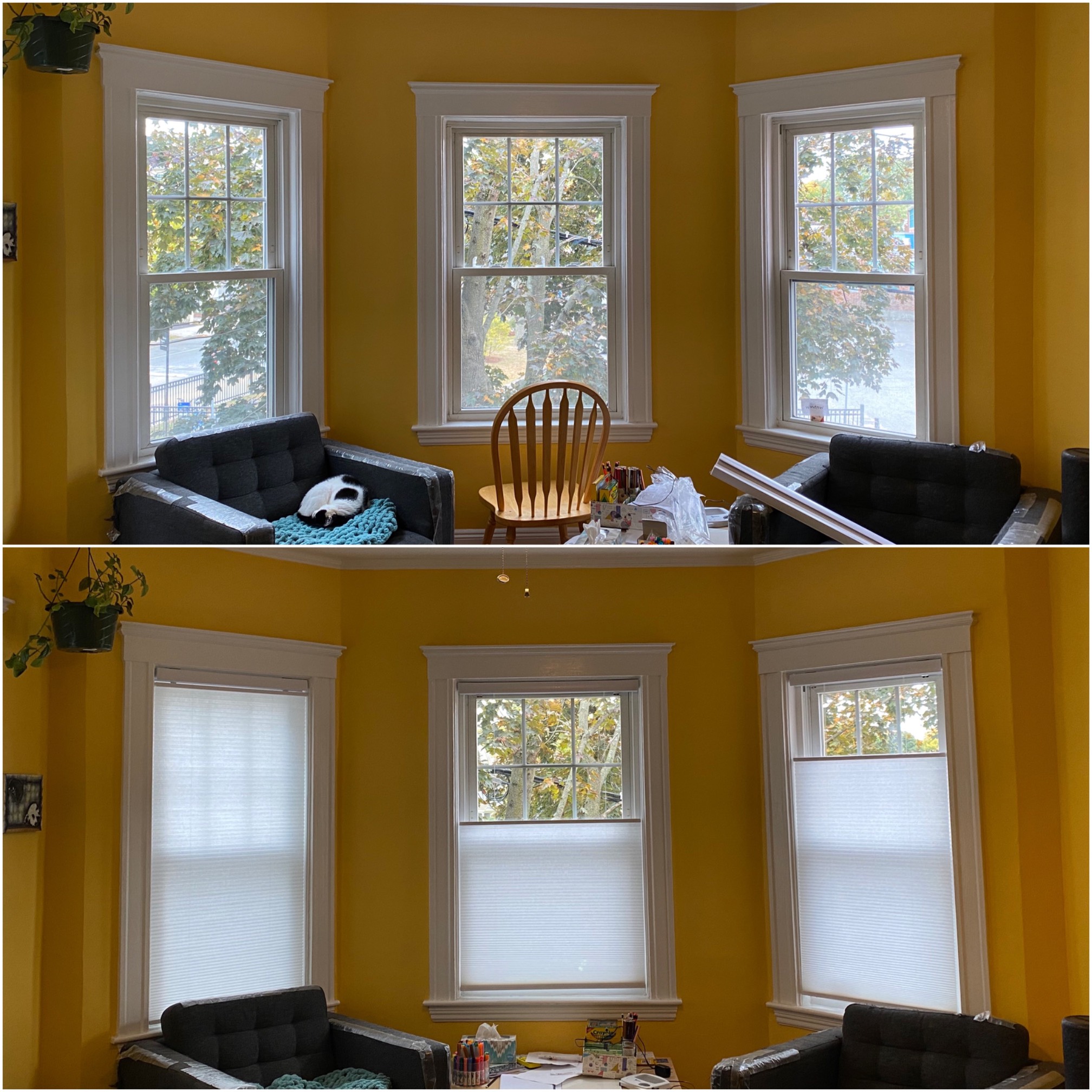 After four years here, I finally installed blinds in the living room today, though there’s not much 