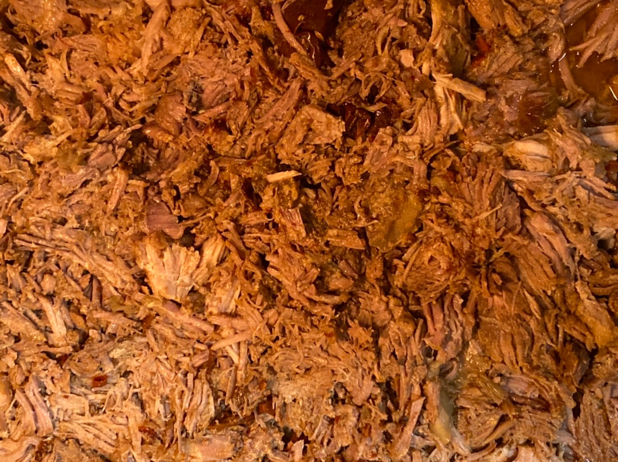 The surface of Planet Carnitas, pre-crisping.