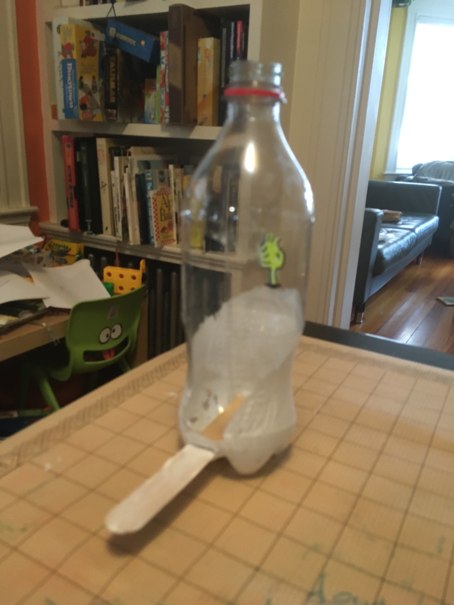 We made a bird feeder. The snow looks refreshing right now.