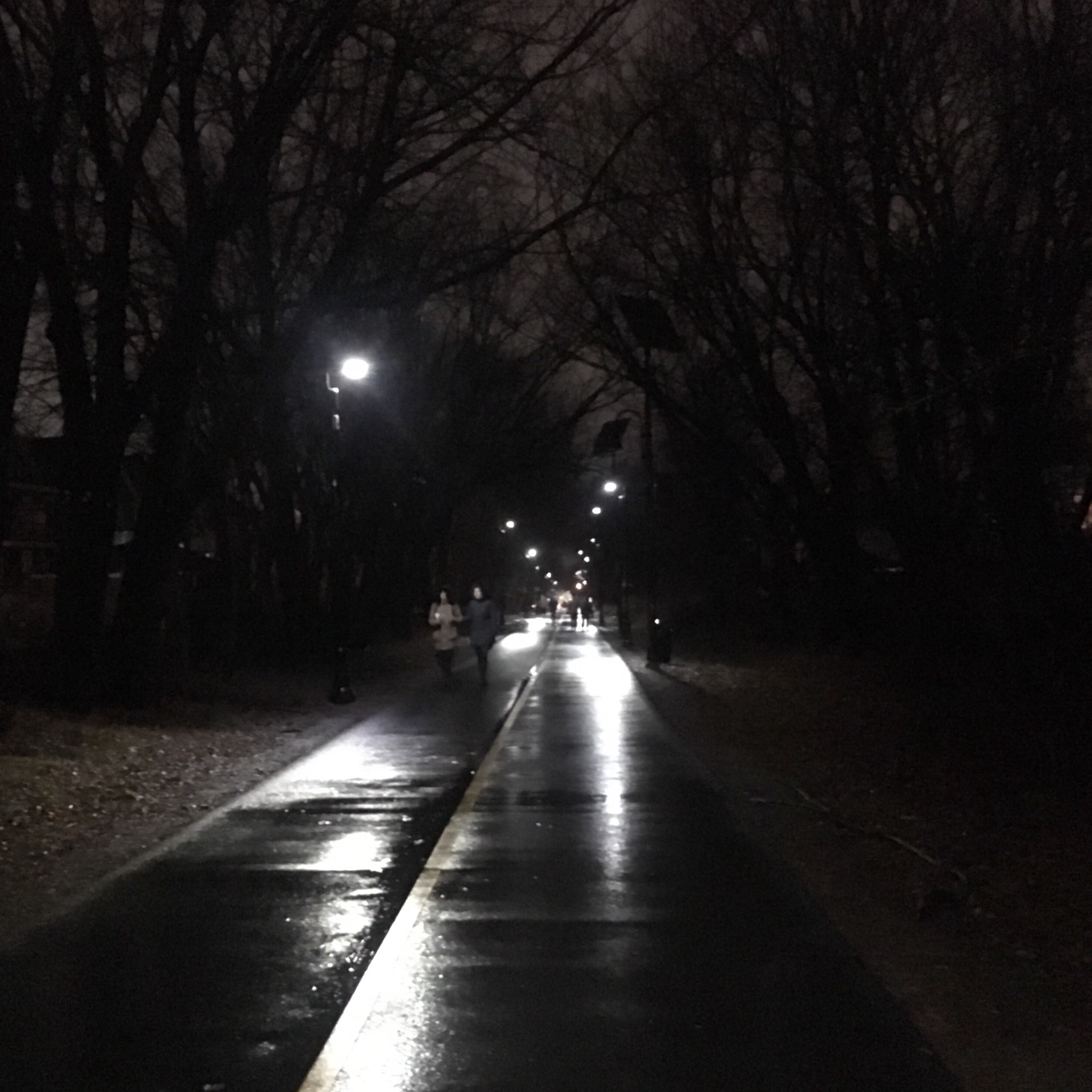 Shiny night path