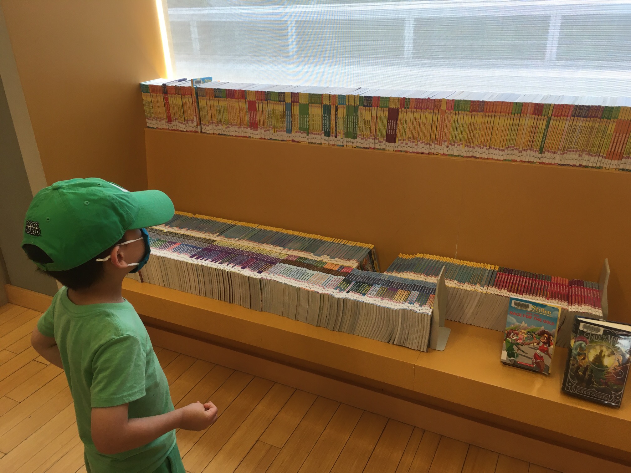 We are back in the library. It is a land of incredible abundance. 
