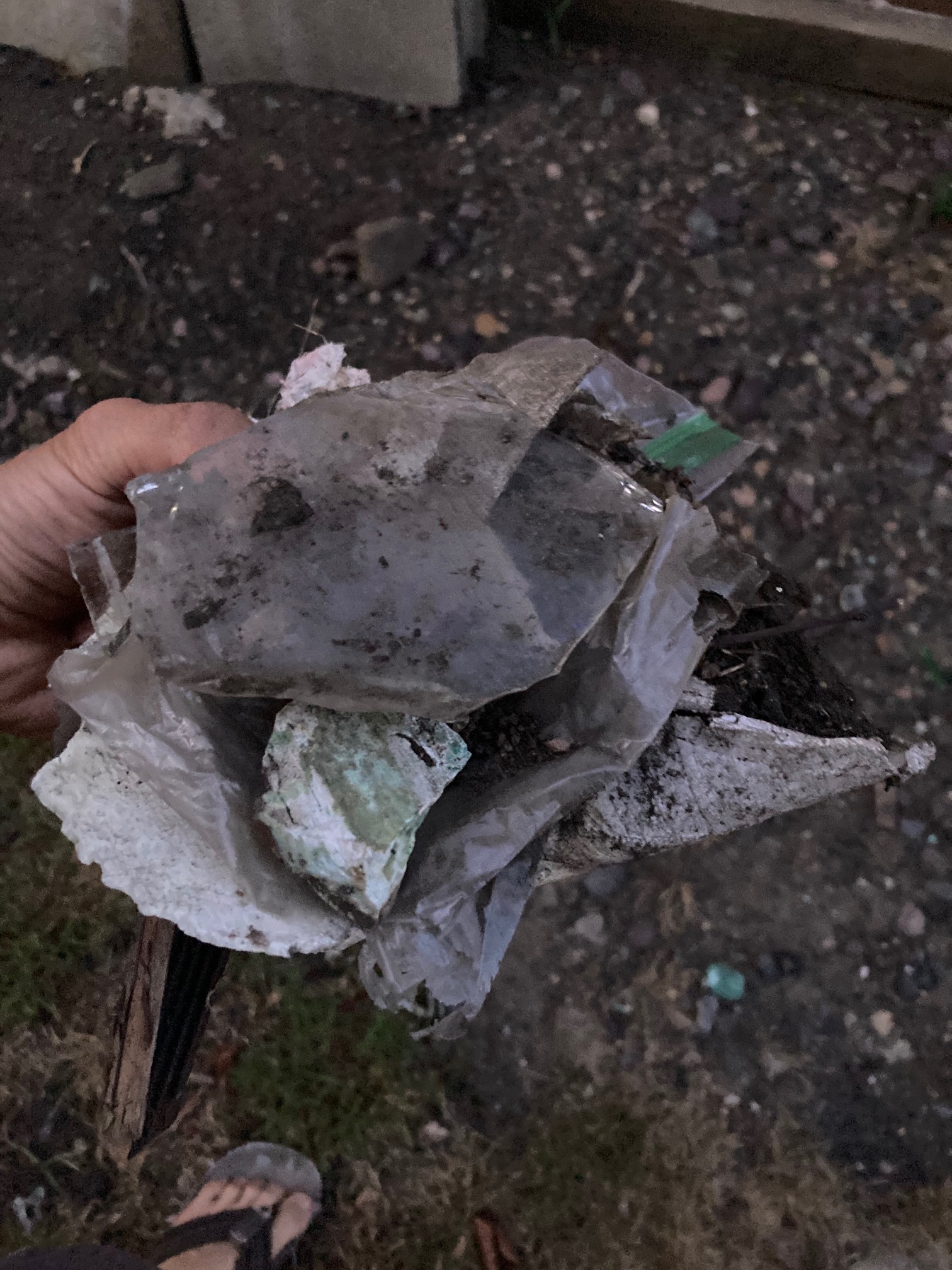 We have a lot of debris in our backyard. It may never be a barefoot backyard. I wonder if it’s from 