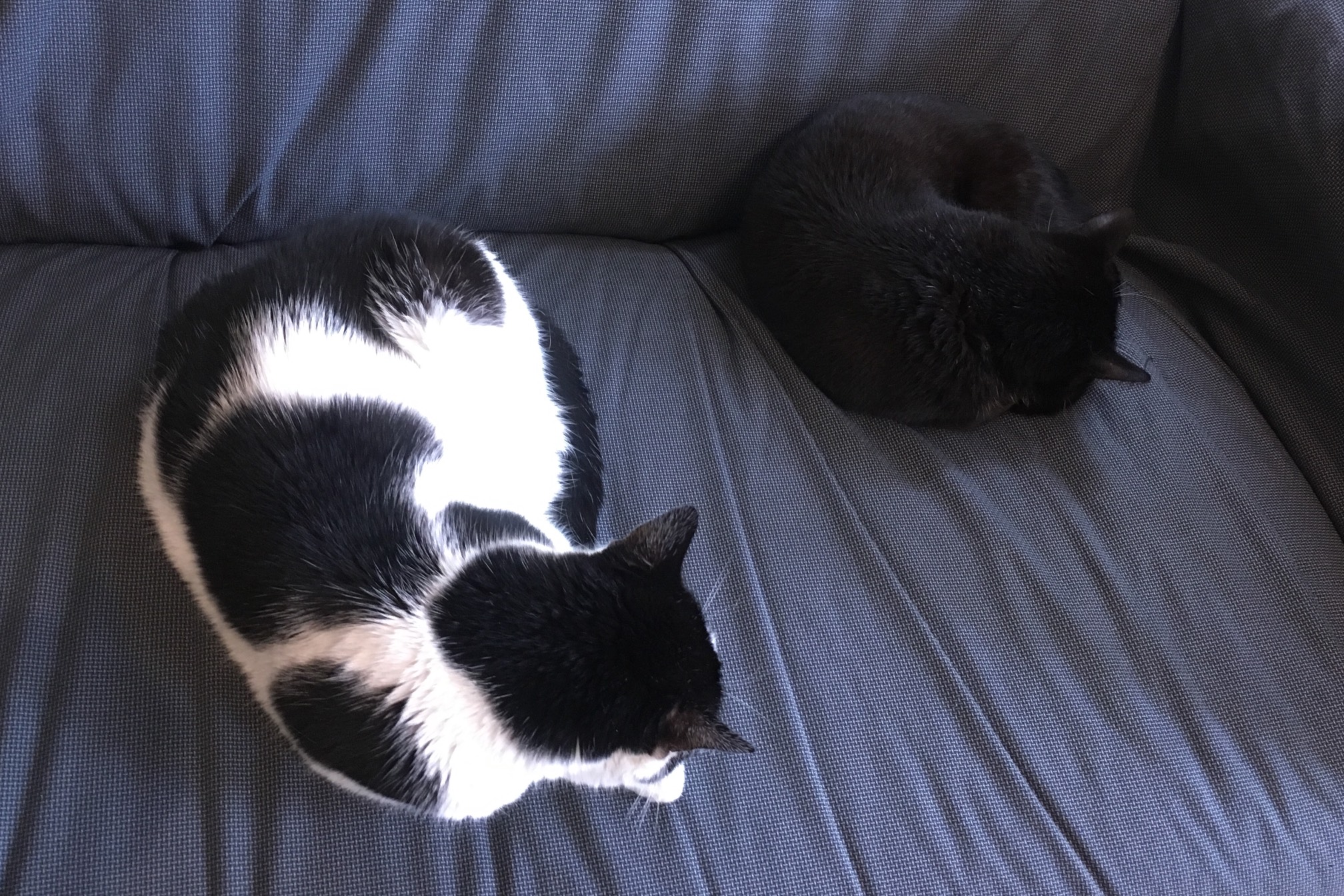 Two levels of curl