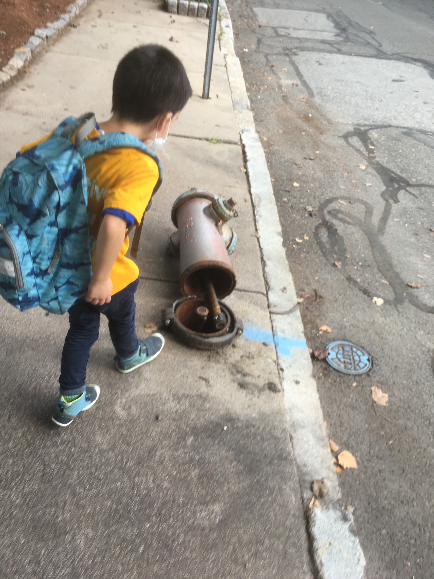You can, in fact, crack a fire hydrant.