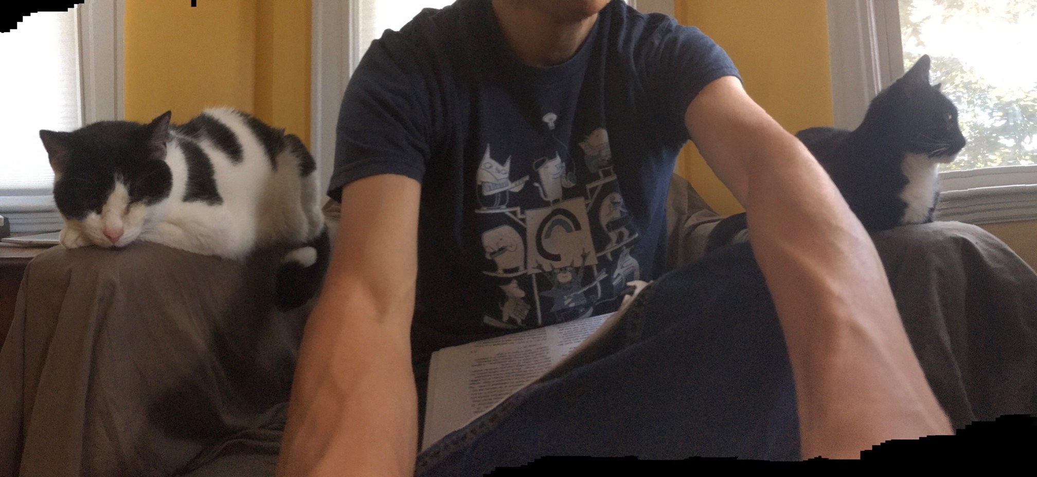 An attempt to selfie-pano these two cats, predictably, turned out strange.