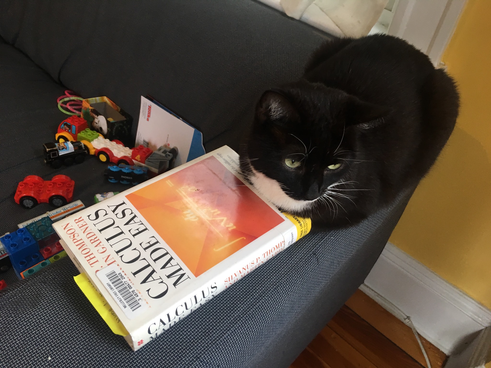 Cats gotta reskill in today's uncertain economy.