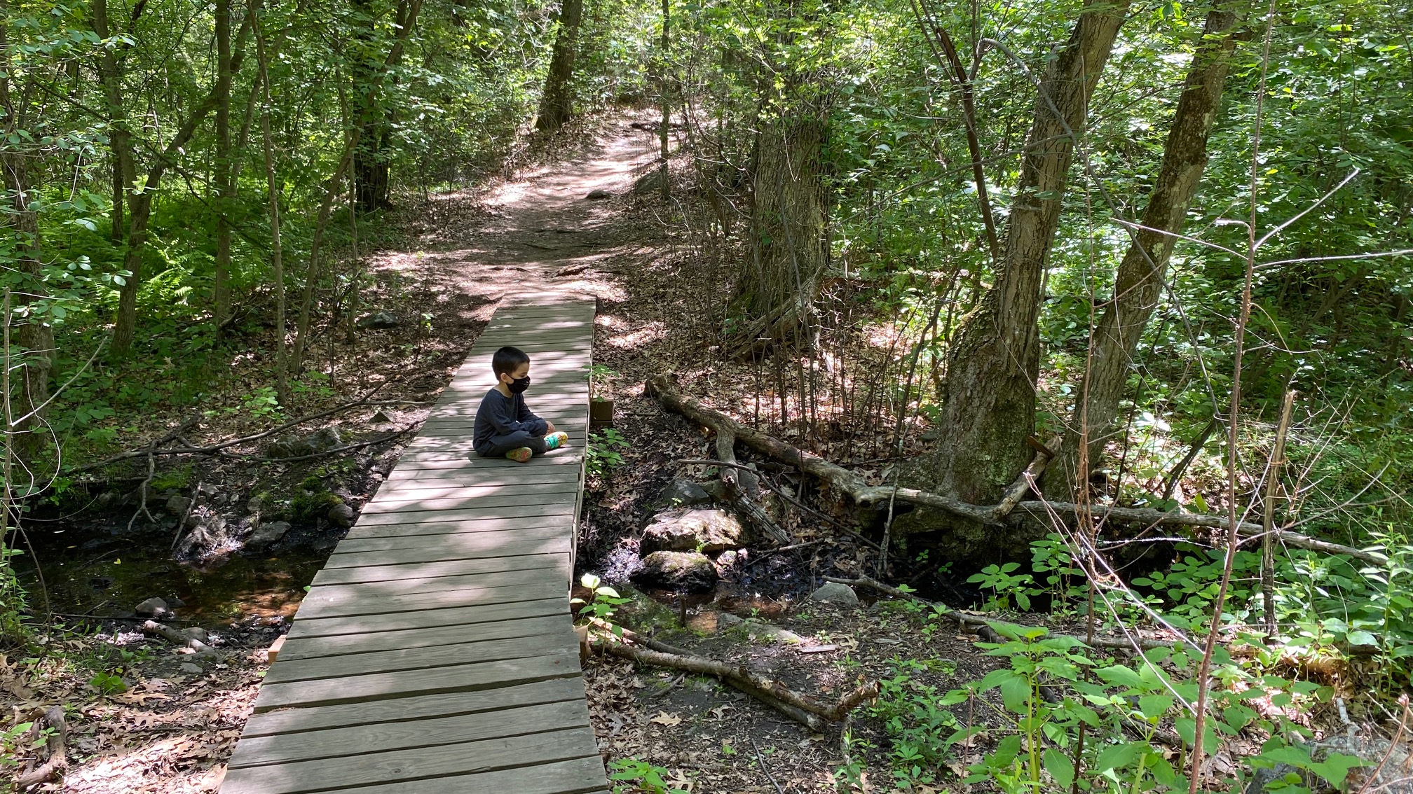Bridge enjoyer