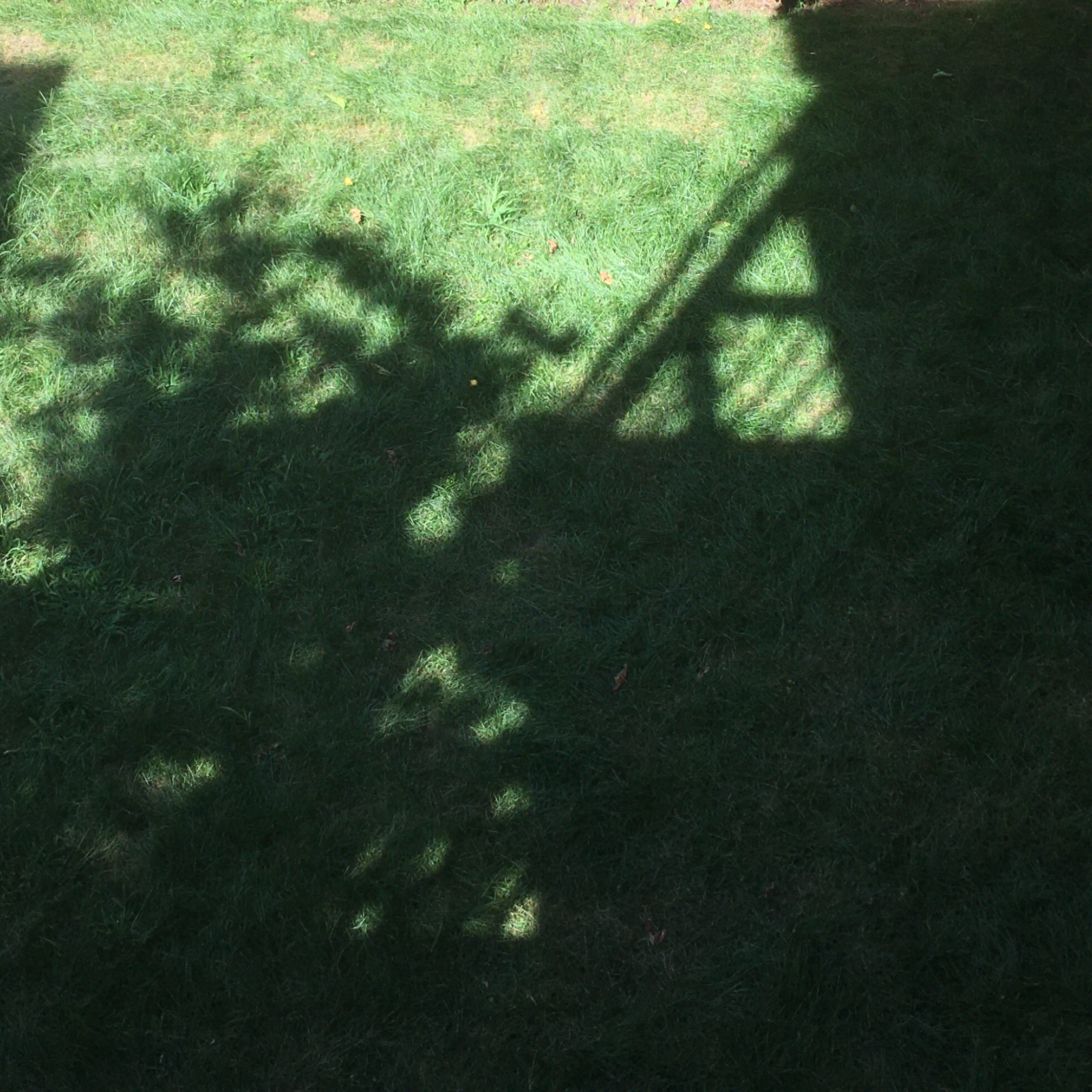 Deck shadow