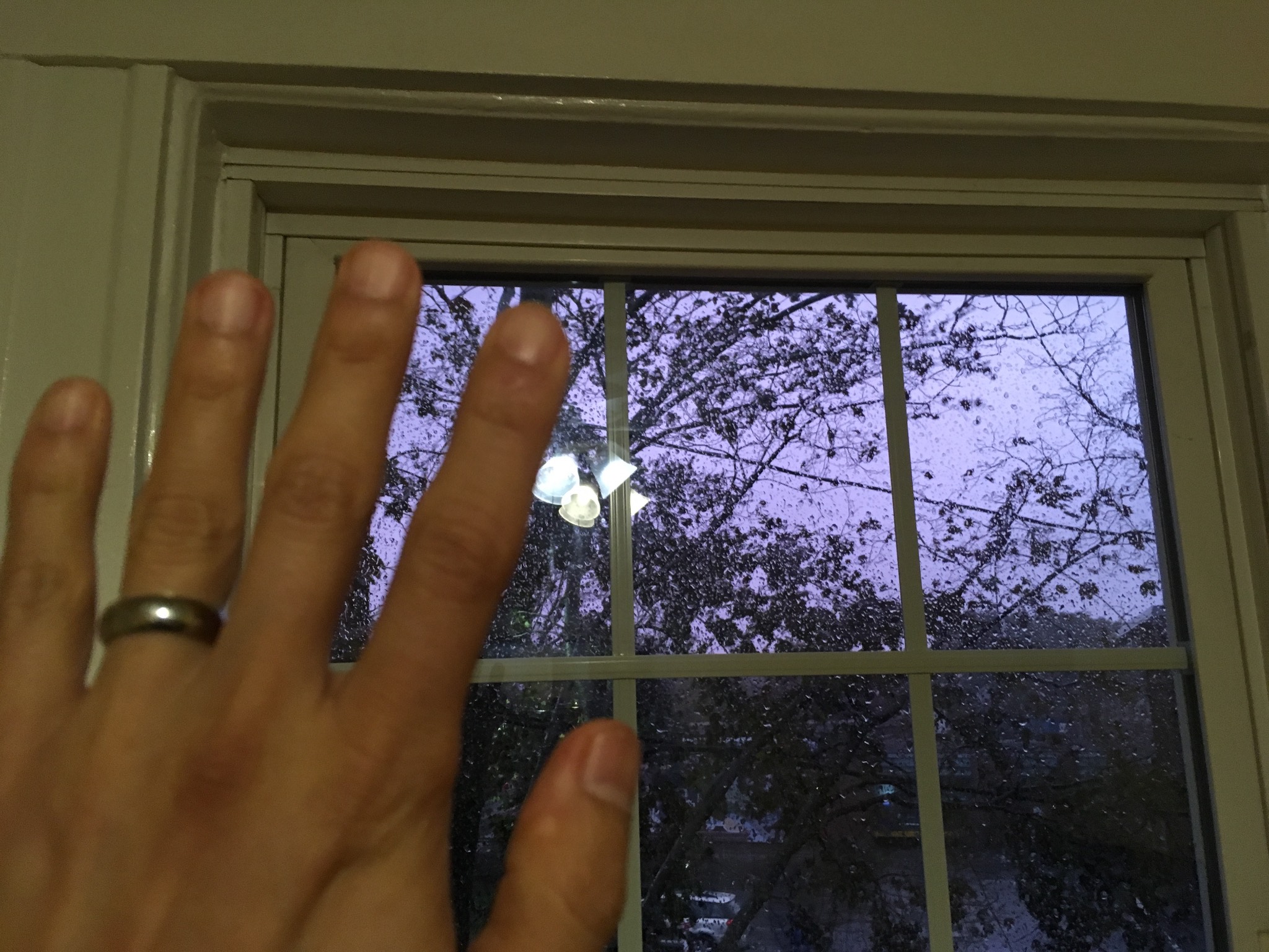 Whoa, it's purple out. Hand is included to feebly try to indicate no digital alteration here.
