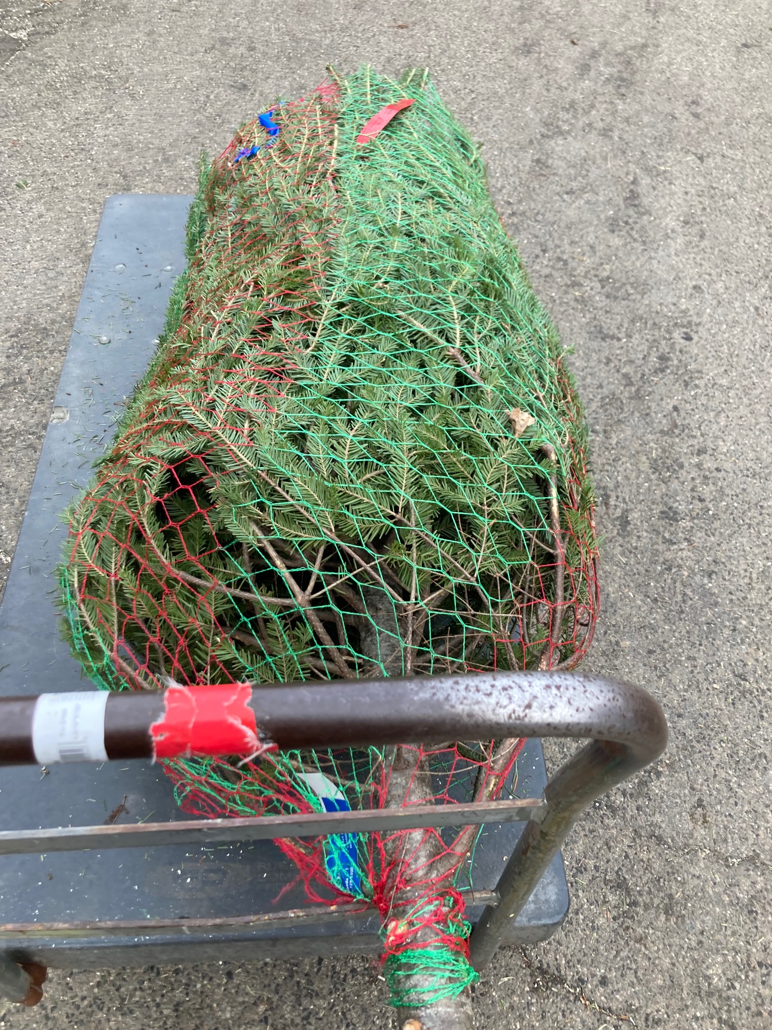 This festive net looks like something the Joker would use.