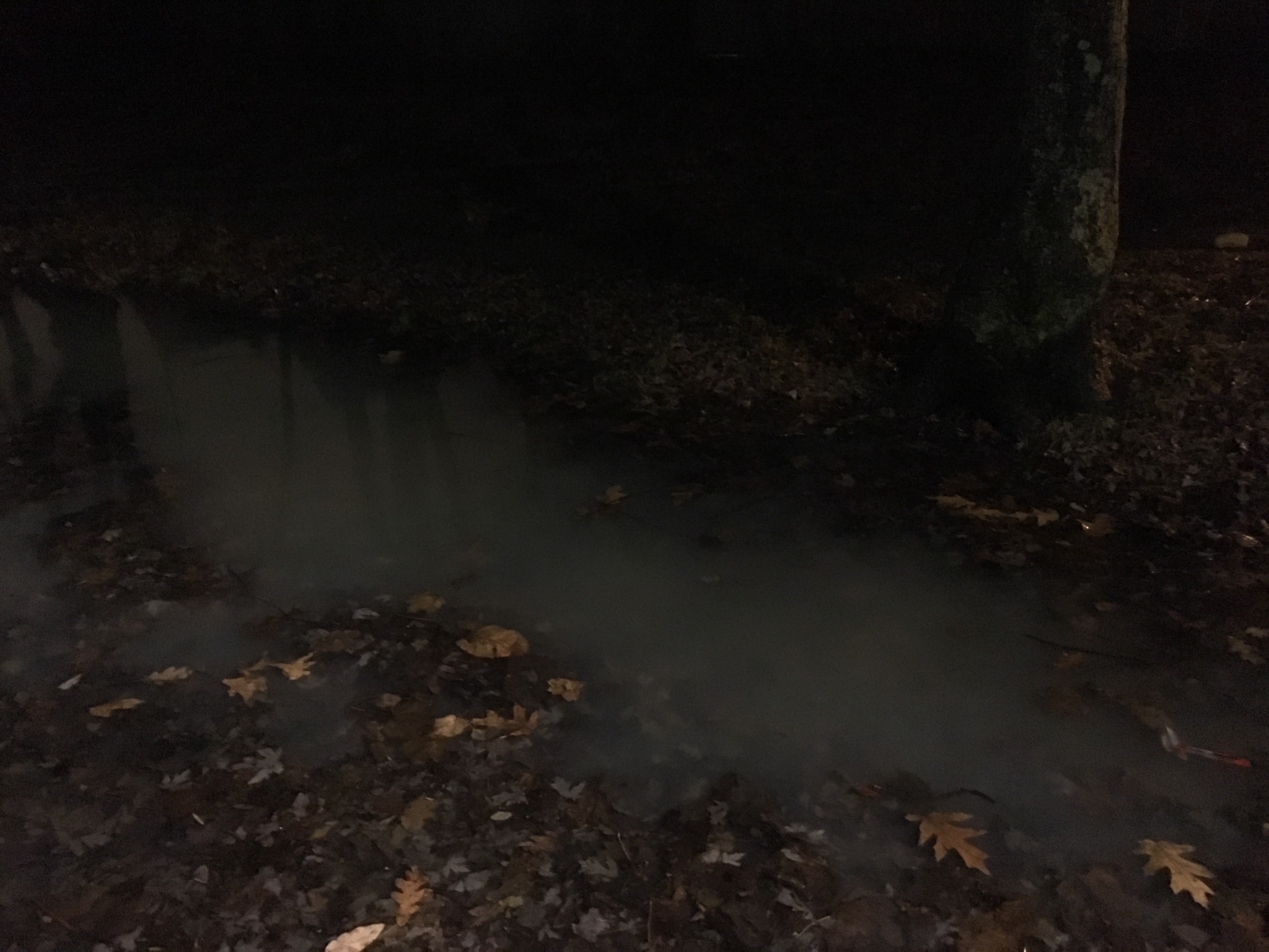 Spooky fog (actually a puddle)