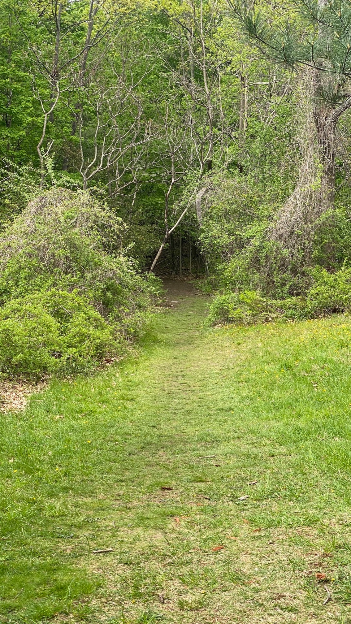 I saw a good Zelda-style entrance the other day.