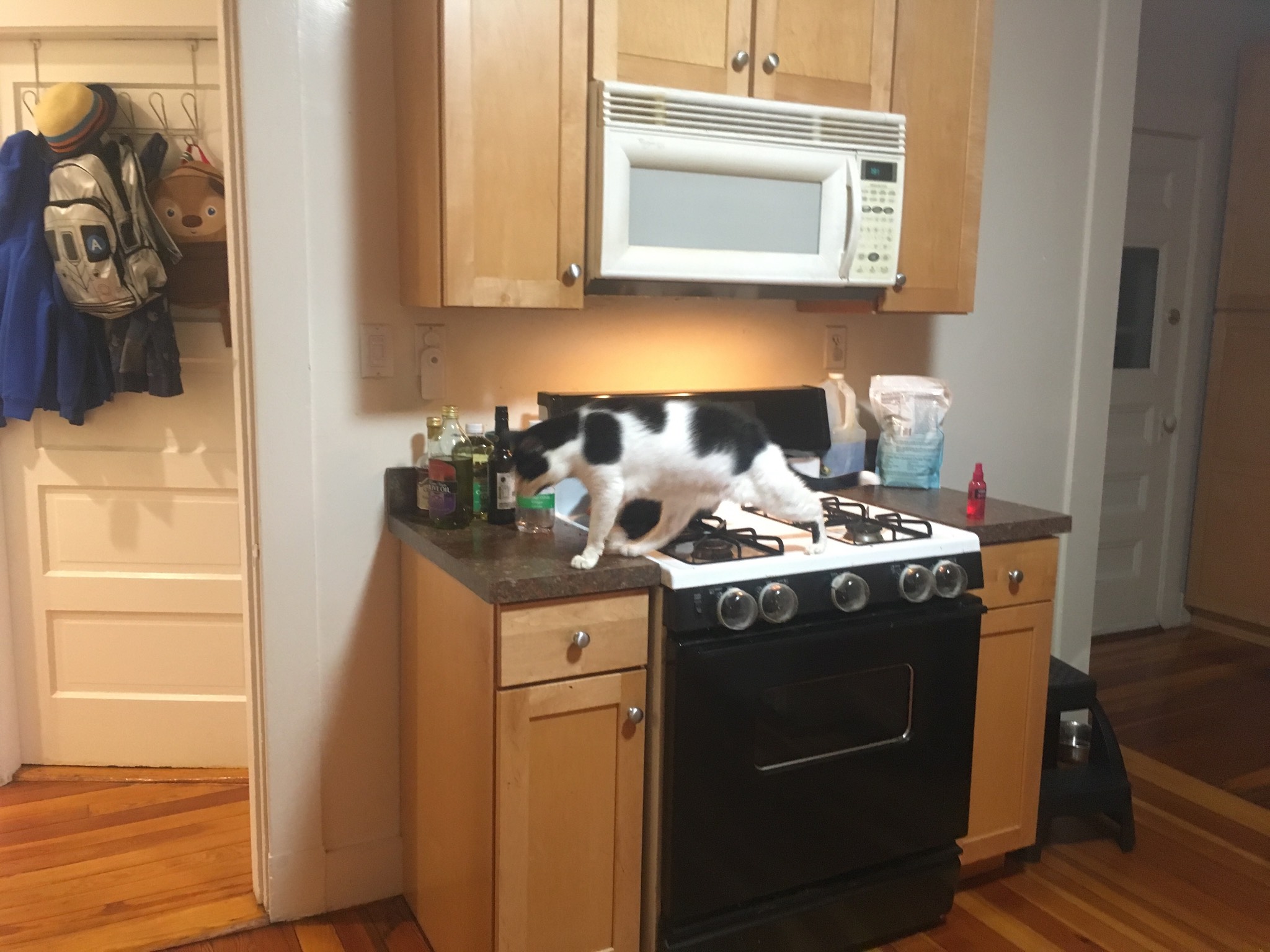 This is why we have stove knob covers. It is not because of our kid.