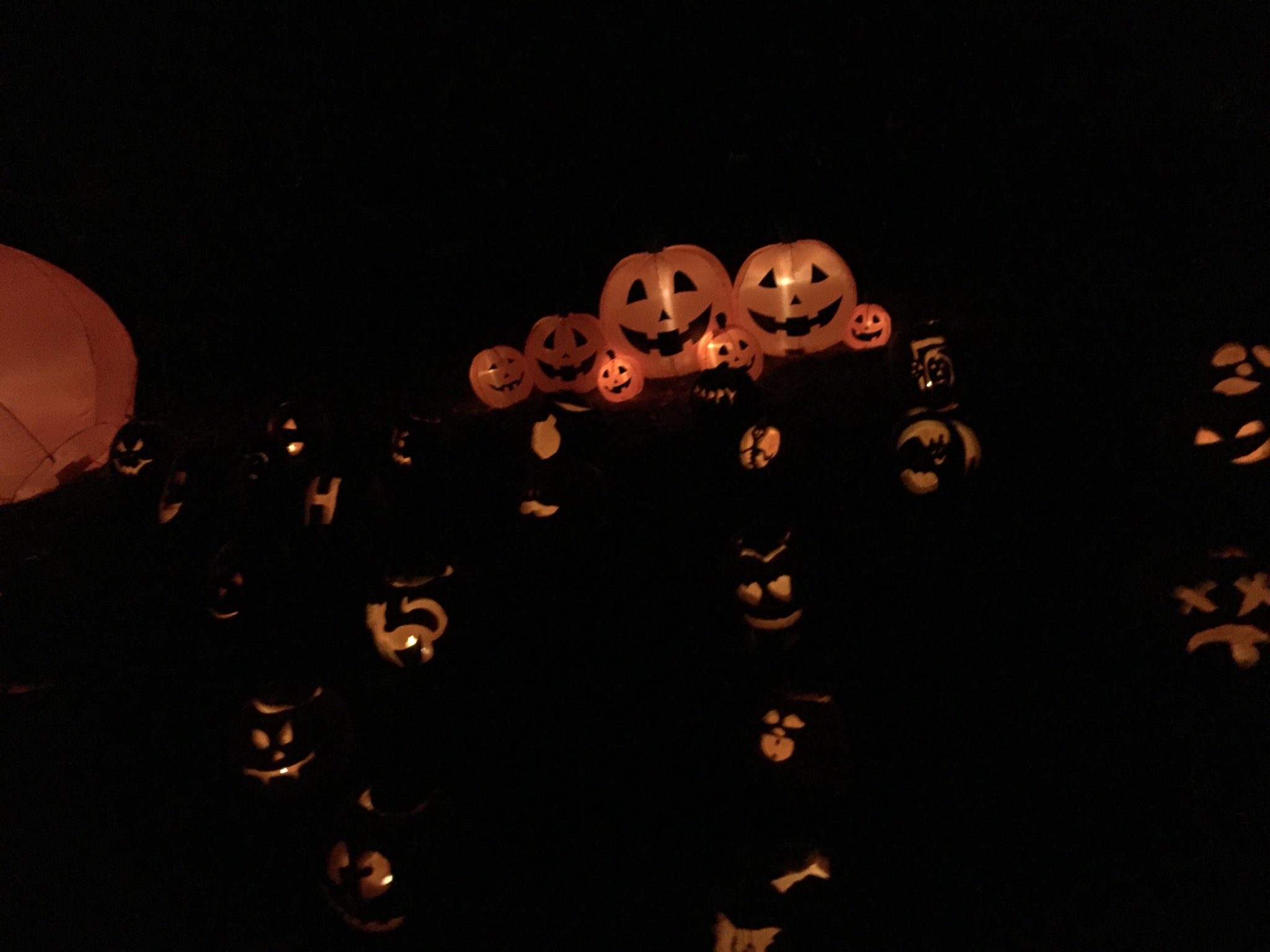 🎃🎃🎃🎃🎃