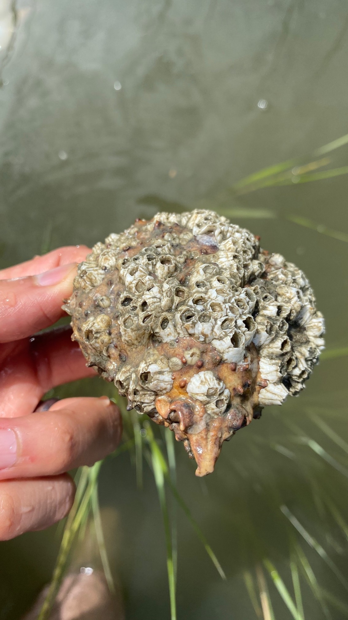 Nature is freaky.