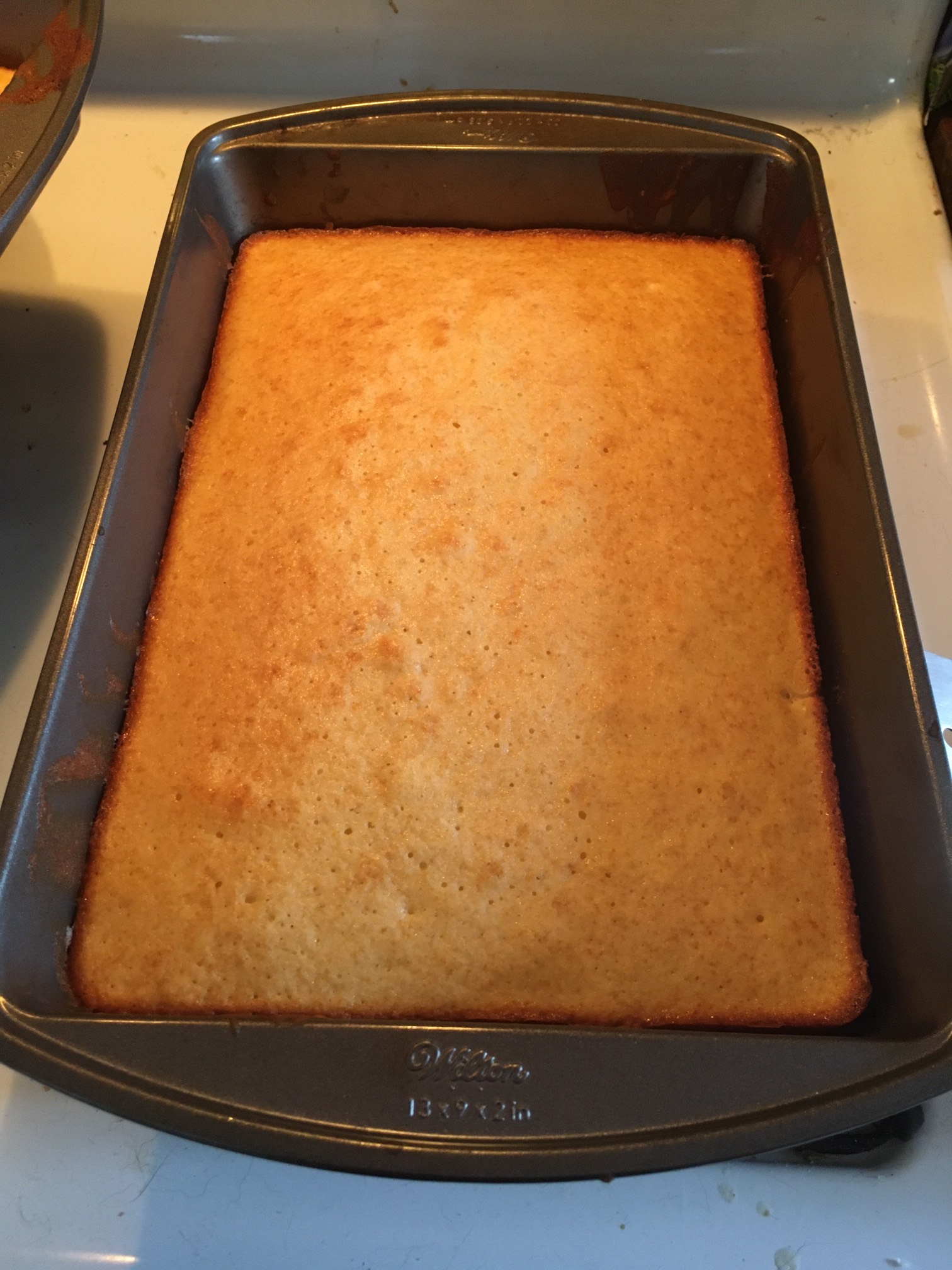 Me and the guy may have made an actual working cake. Miraculous!