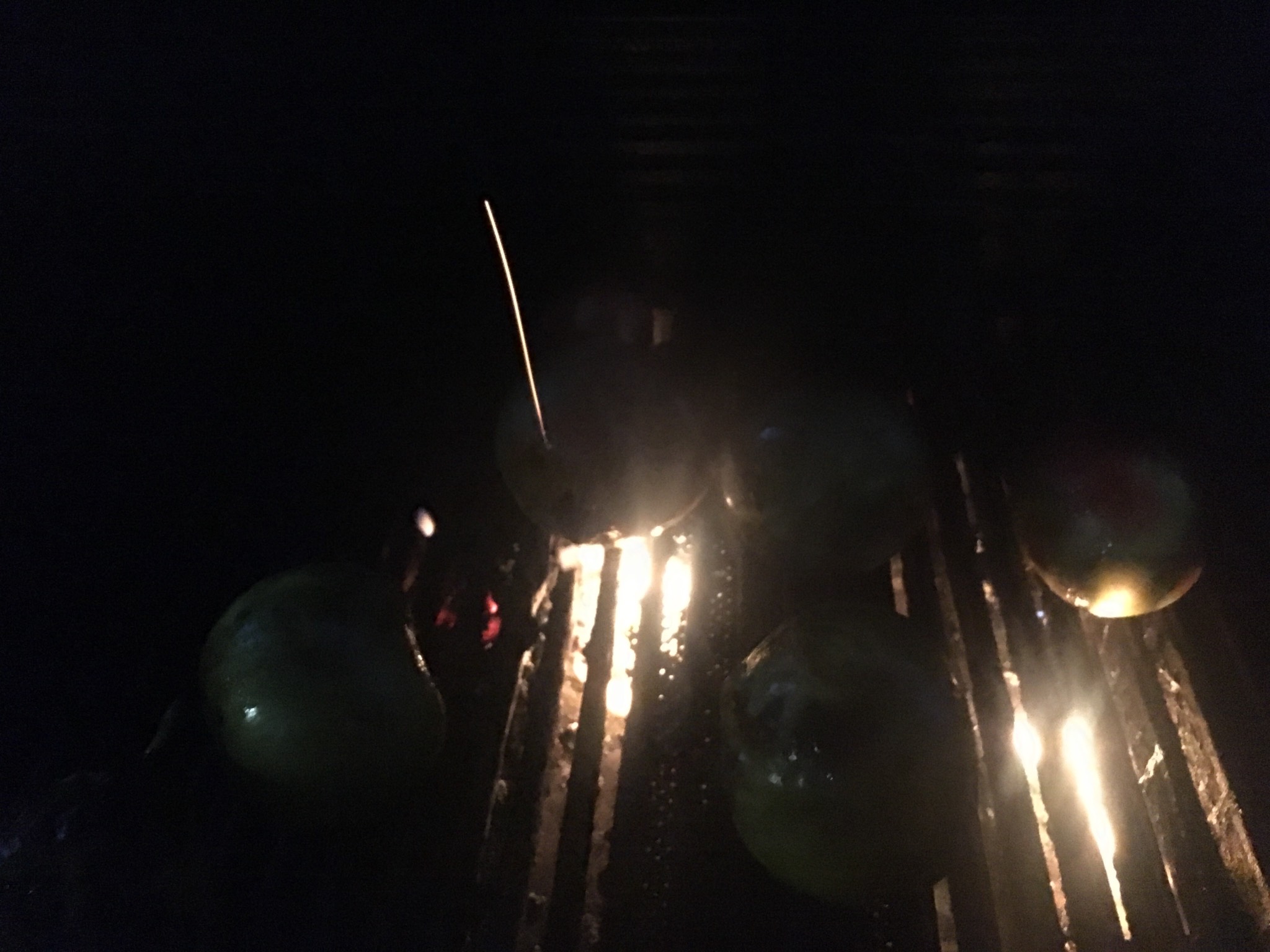 Grilled some apples again, but it got dark, which subconsciously made me call it early. They would'v