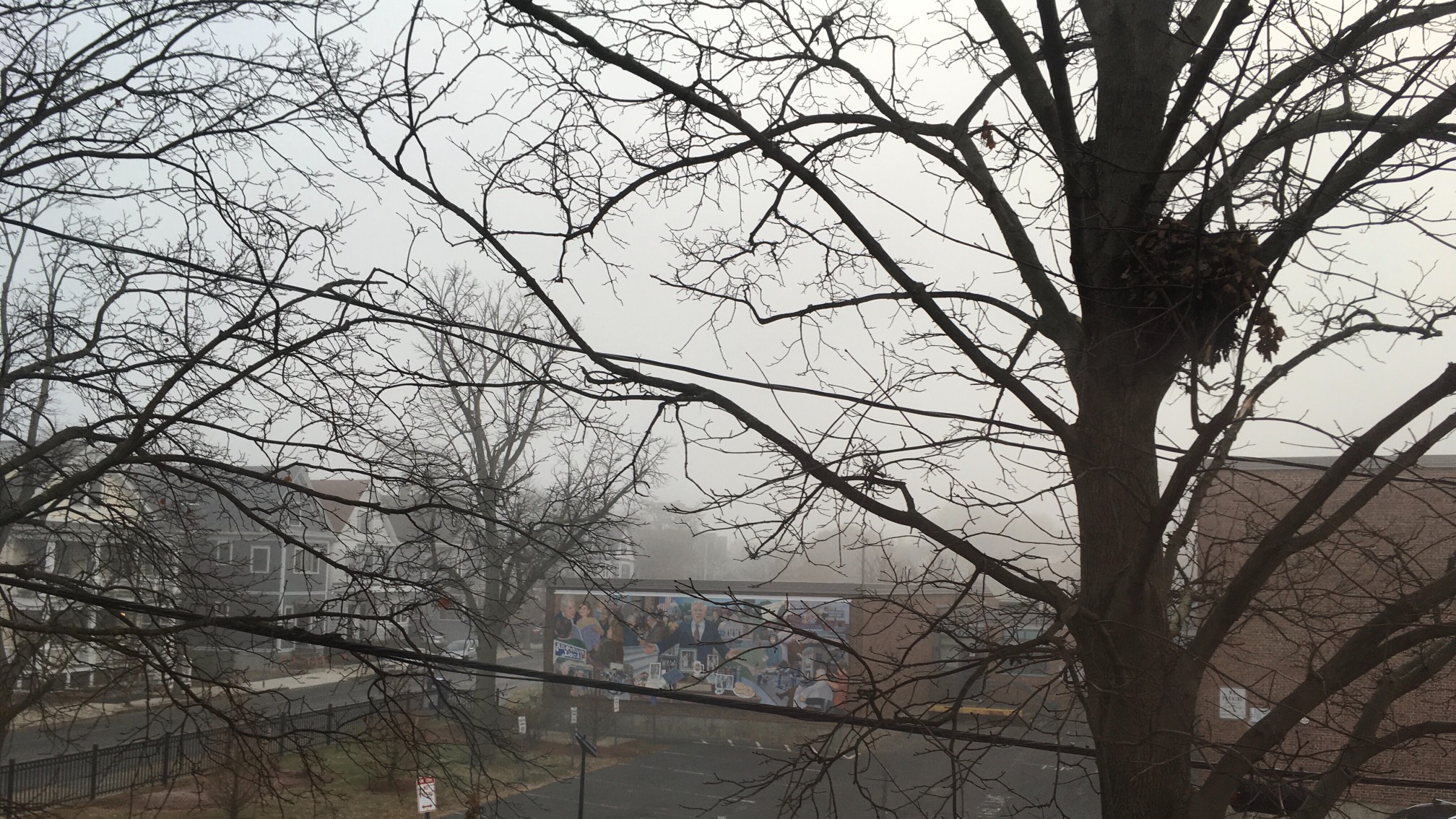 Foggy