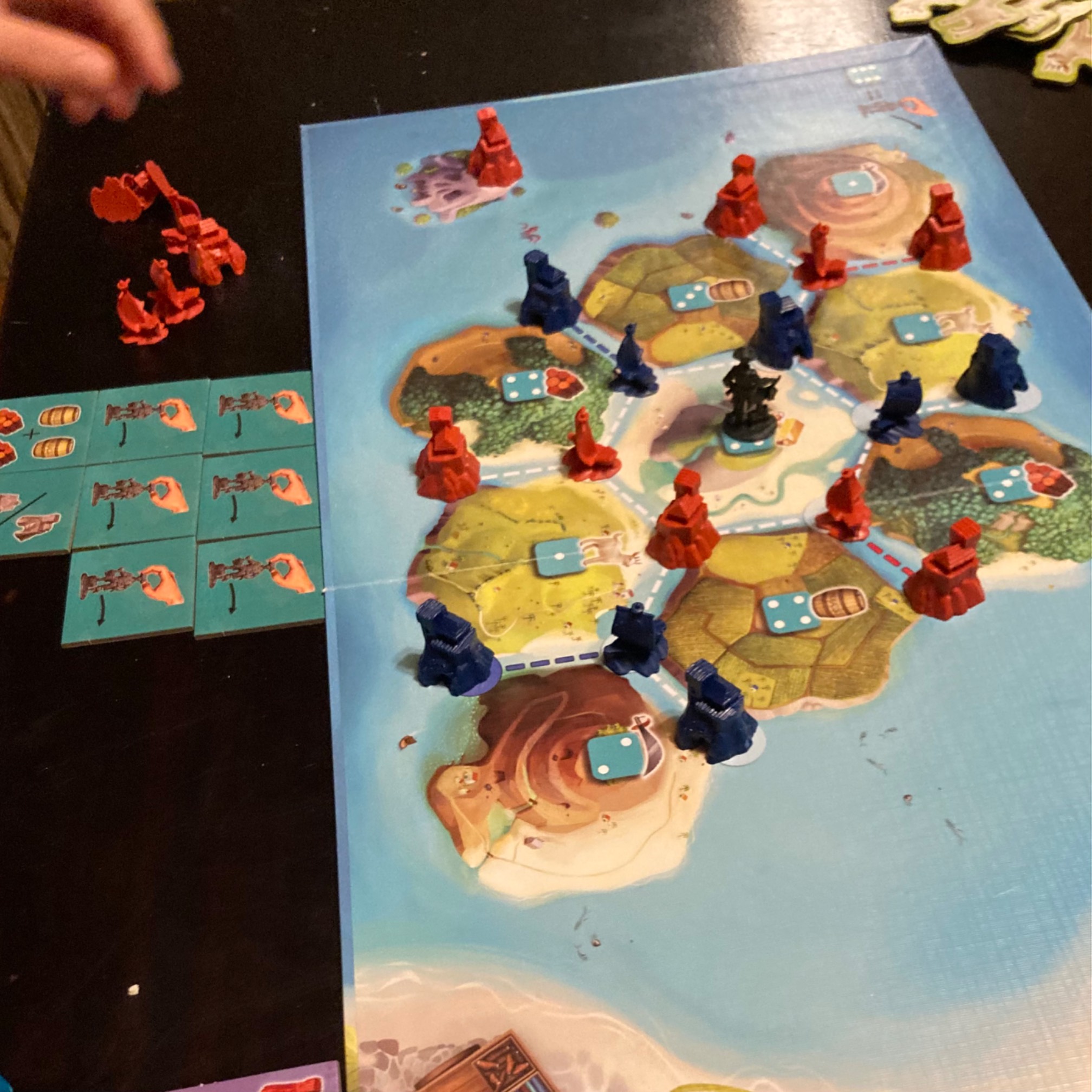 Today in Catan Jr., the guy went for a lot of parrot cards (known as development cards in Catan Sr.)