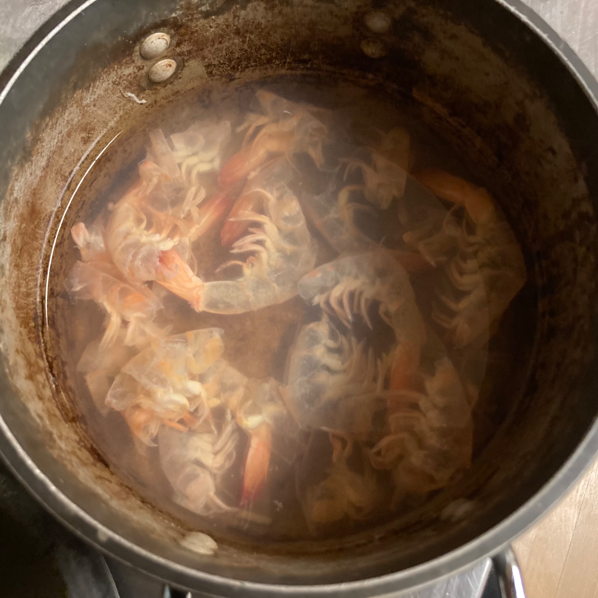Shrimp stock looks like an album cover.