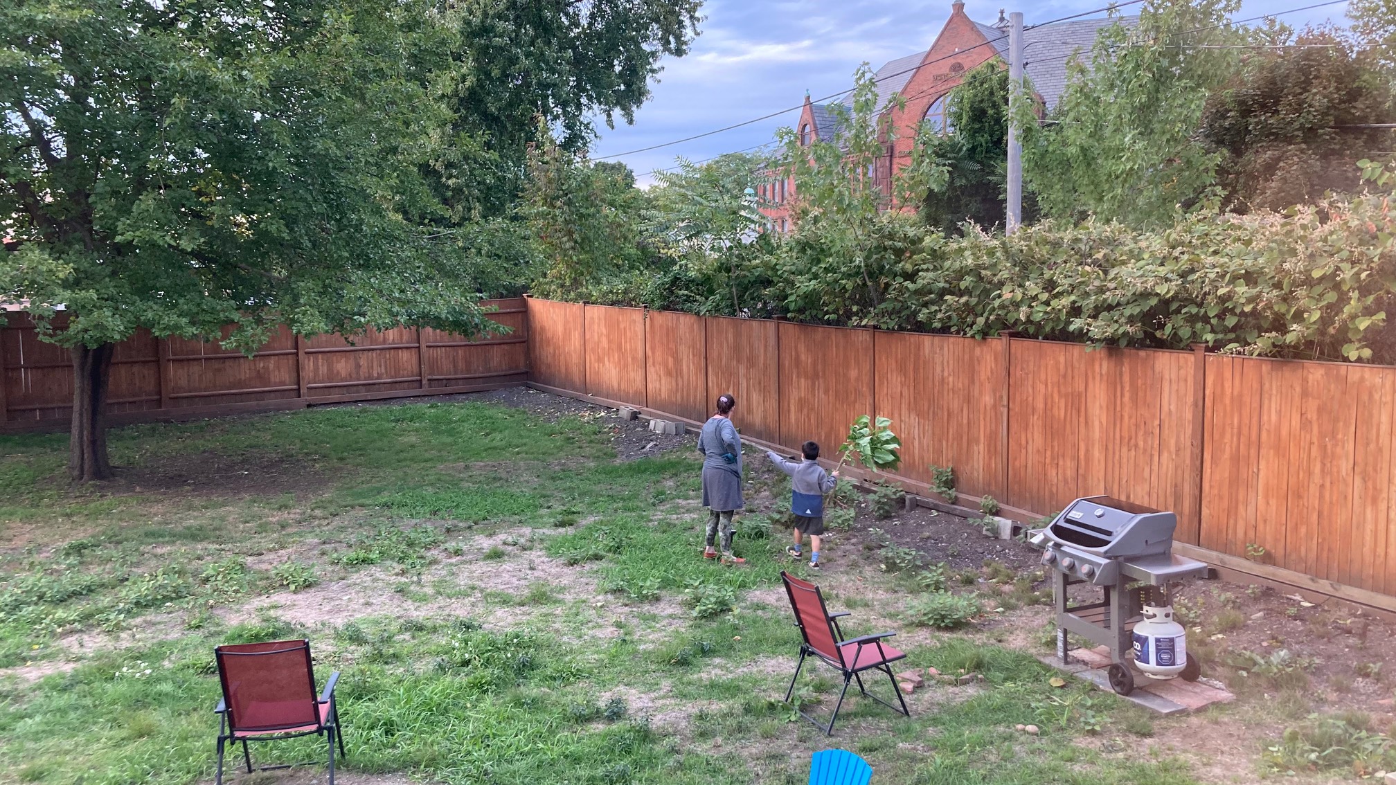 They moved a tree.