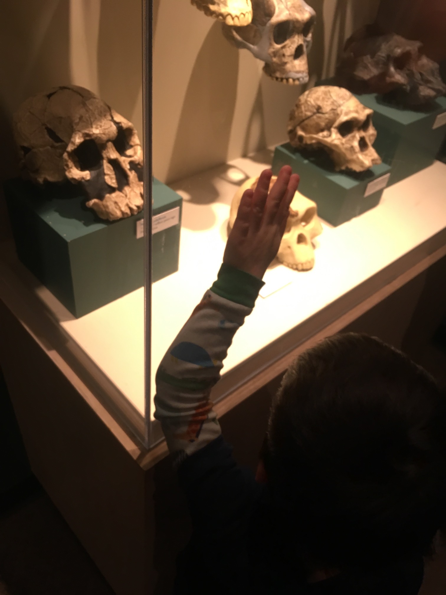 You gotta take your kid to the skull zone every so often.