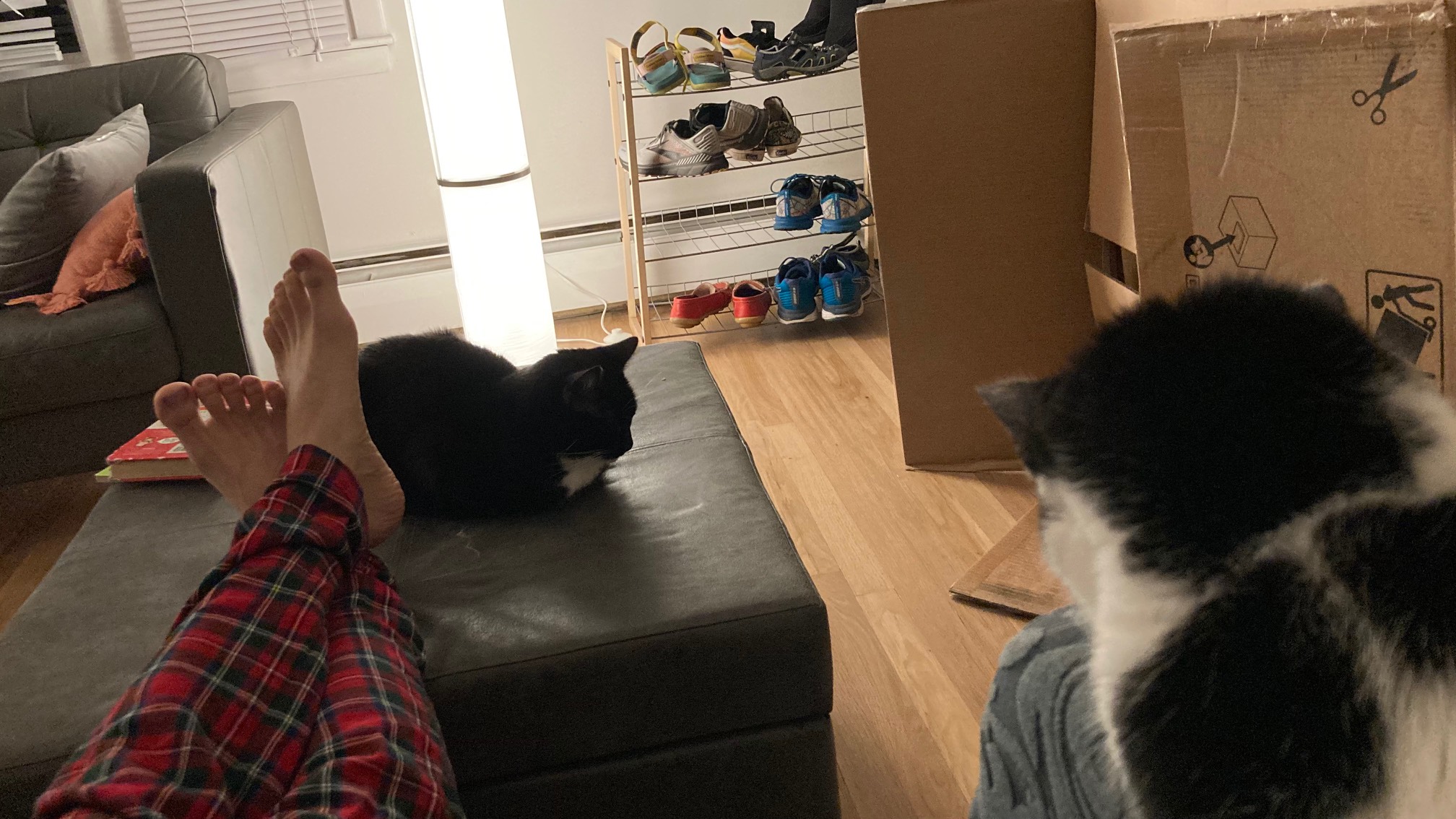 We’re still into the ottoman over here.