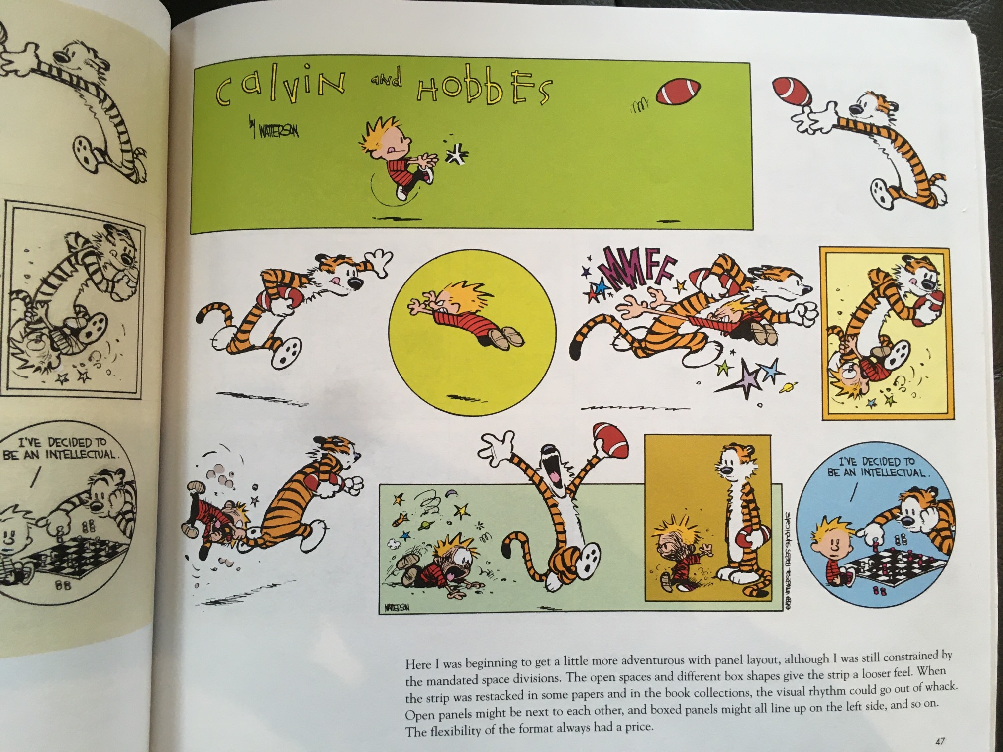 Bill Watterson did not like flexbox.