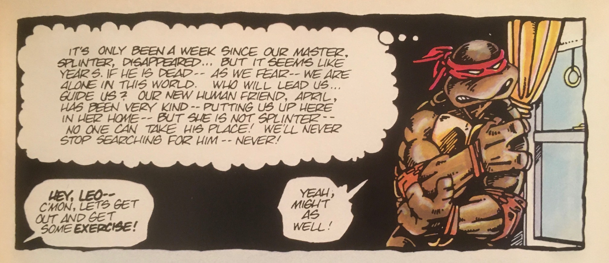 I guess I never noticed how kludgy the dialogue in Teenage Mutant Ninja Turtles was. They have the c