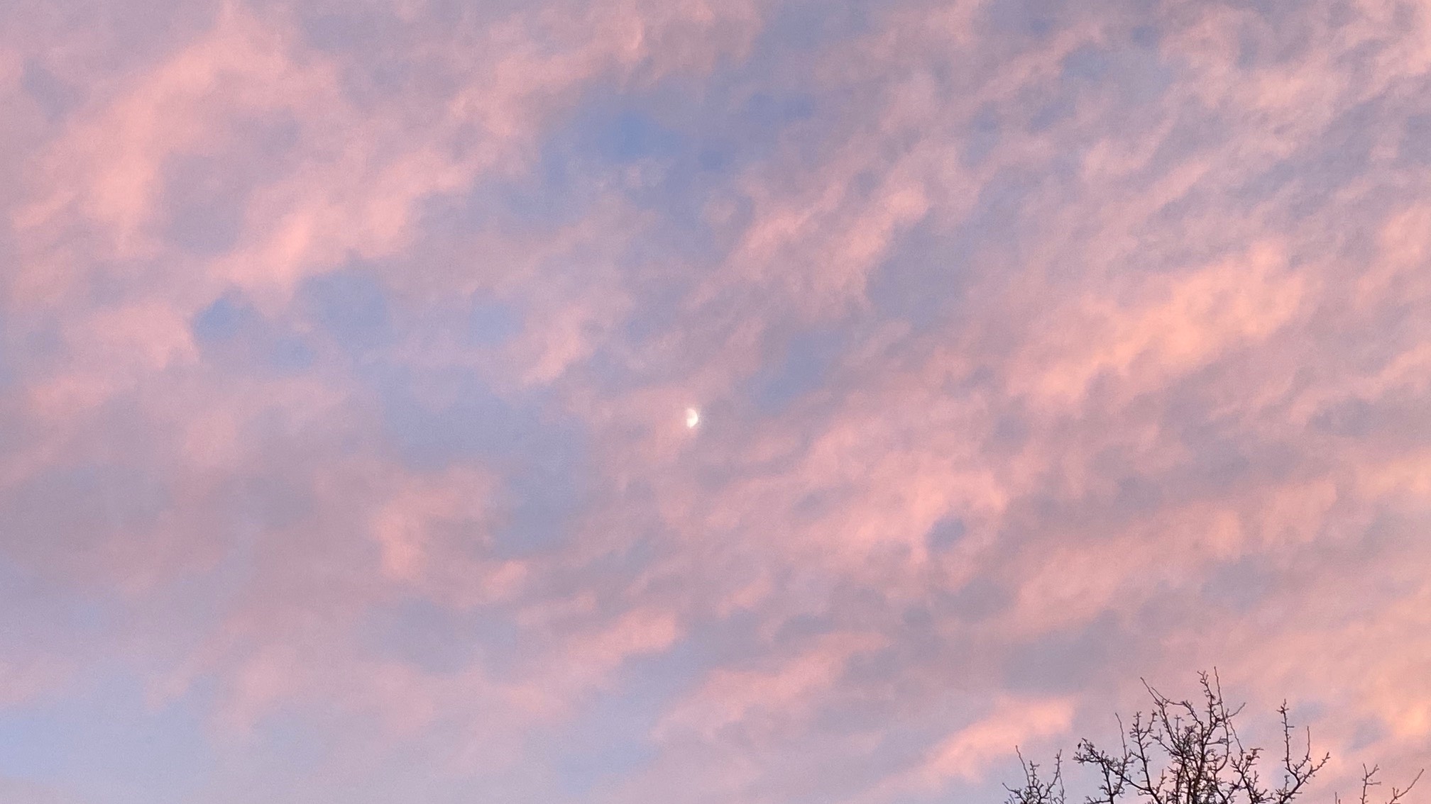 Pink haze moon