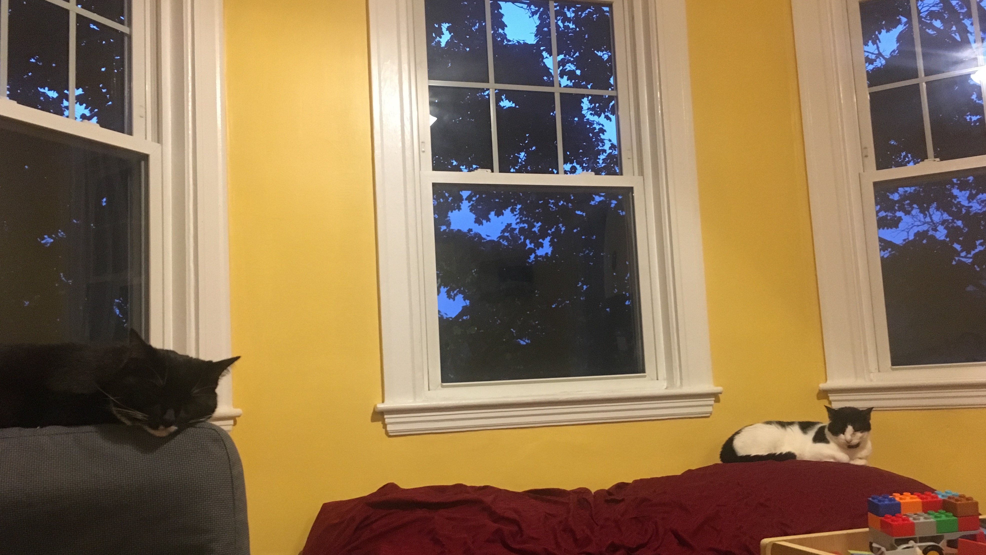 Evening shutdown