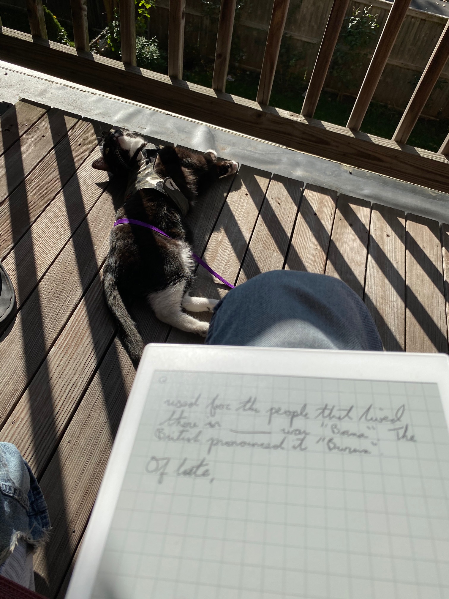 Well beyond a year after I got it, I’m using the Remarkable Tablet several times a day. It’s comfort