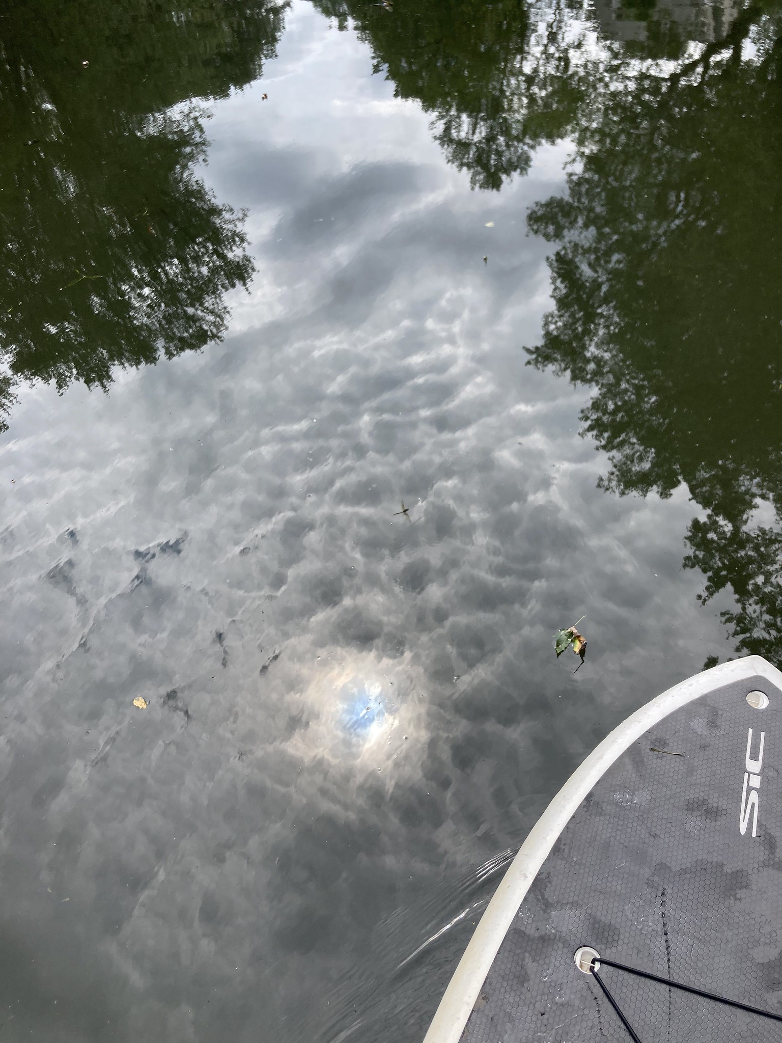 Sun in clouds reflected in water