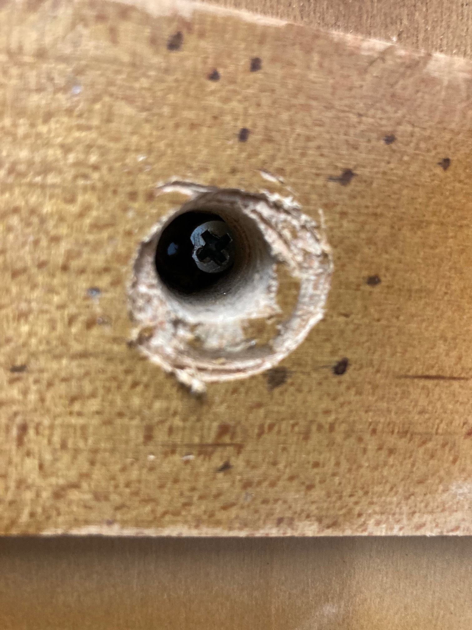 Amazing. I made a guide hole, but I completely missed I when actually drove the screw. This is an am