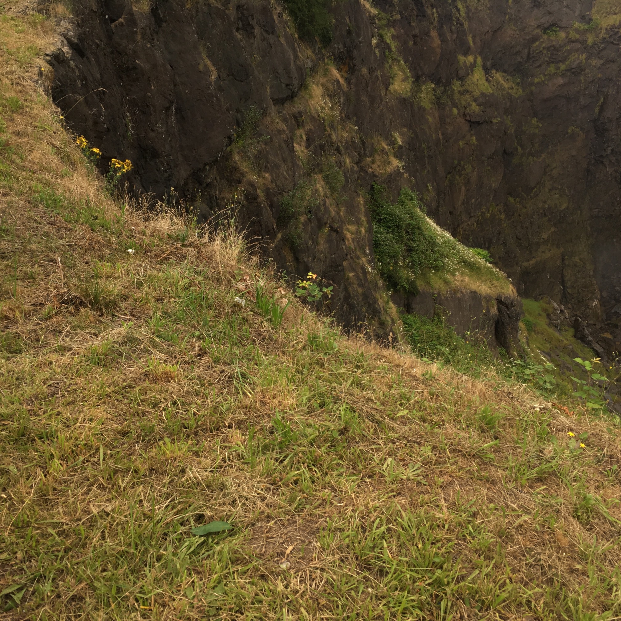 I have fallen down in this area in Dark Souls many times.