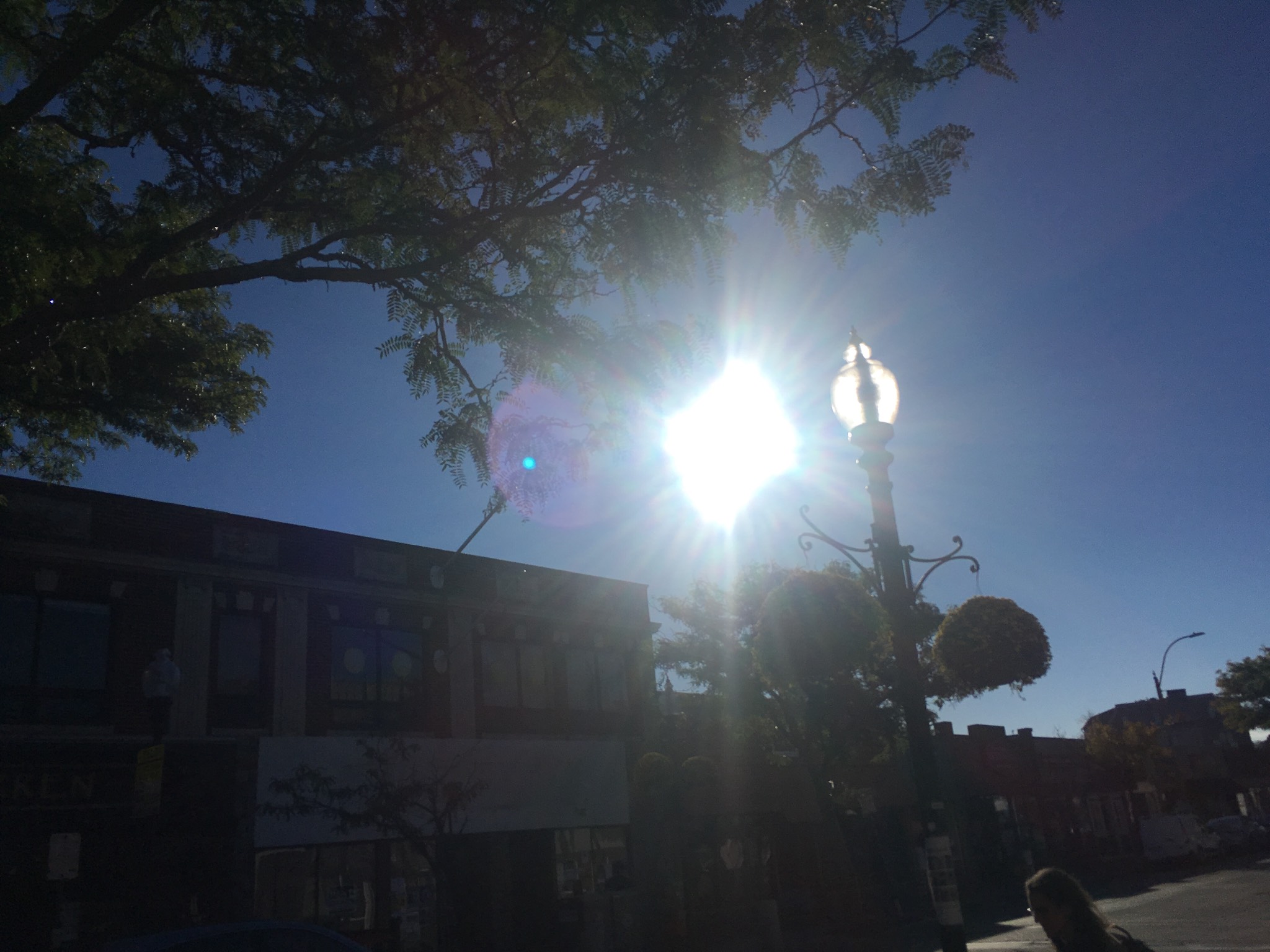 The fucking sun has come out after four days!