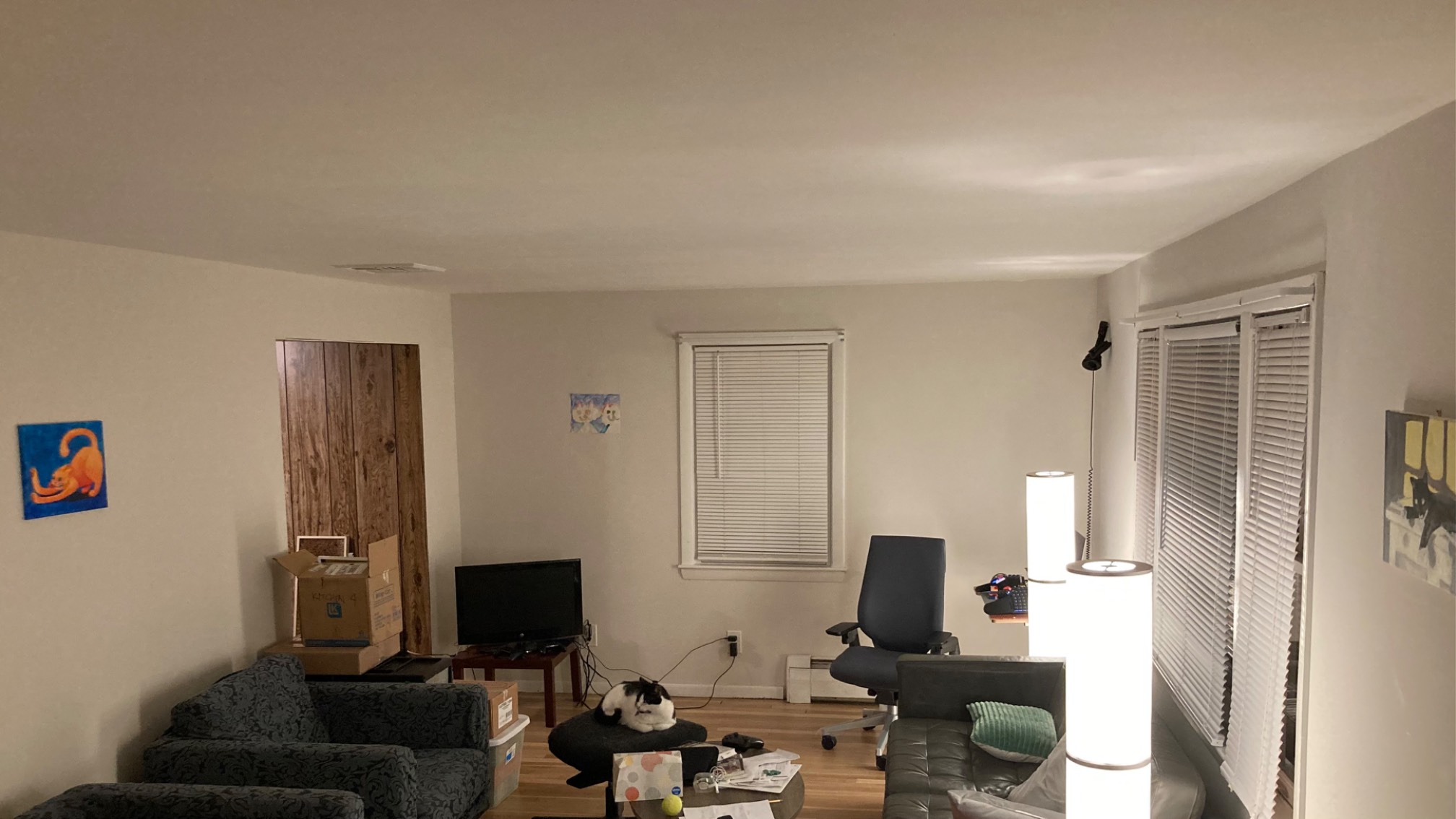 Some cat art is up.