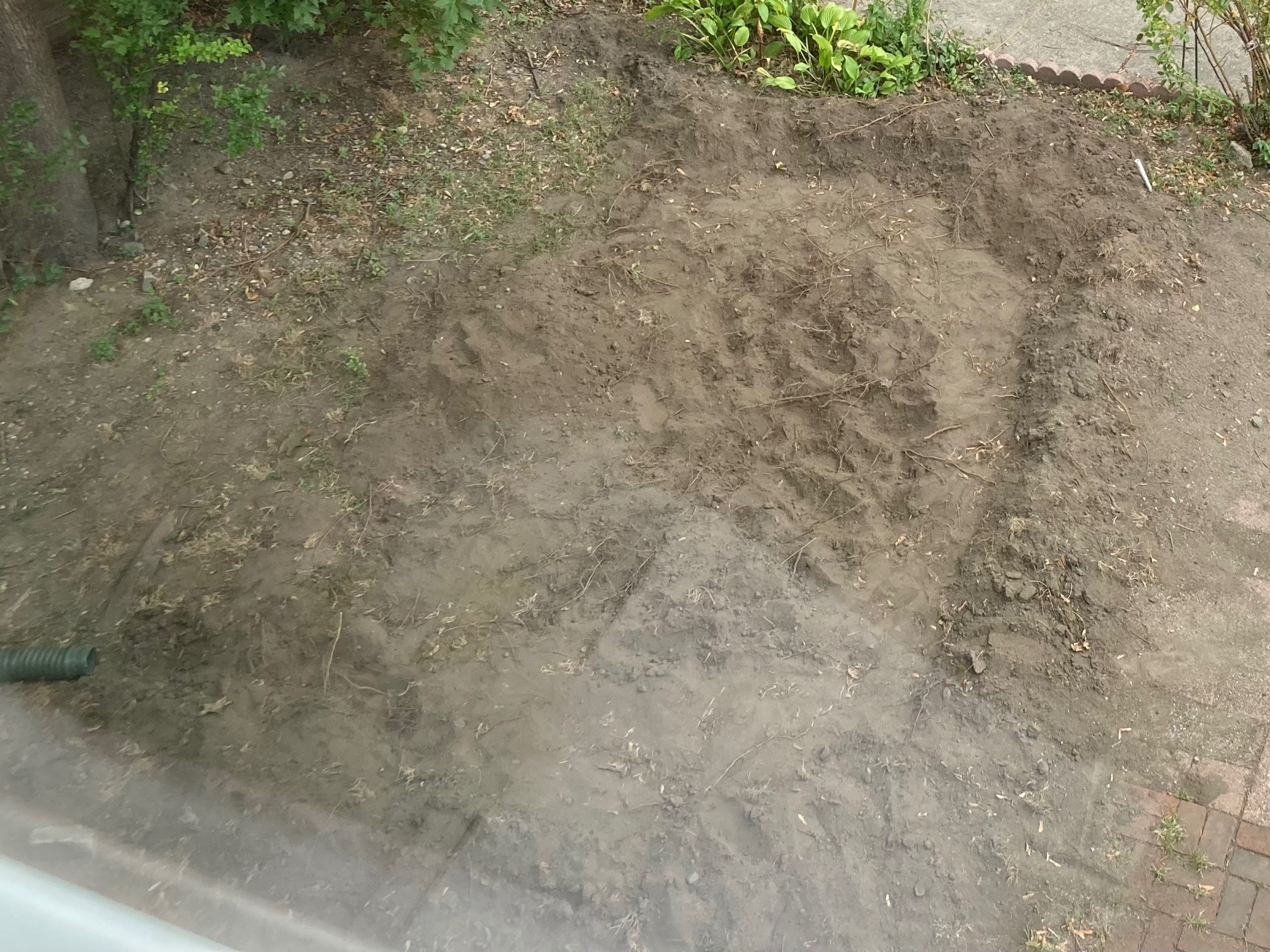 Upon reading that the rain garden should be bean-shaped, I tried to reshape it. There’s all sorts of