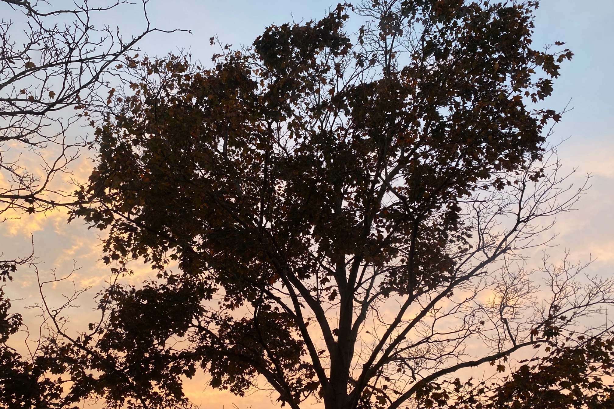 We’re getting into late-sunrise territory now.
