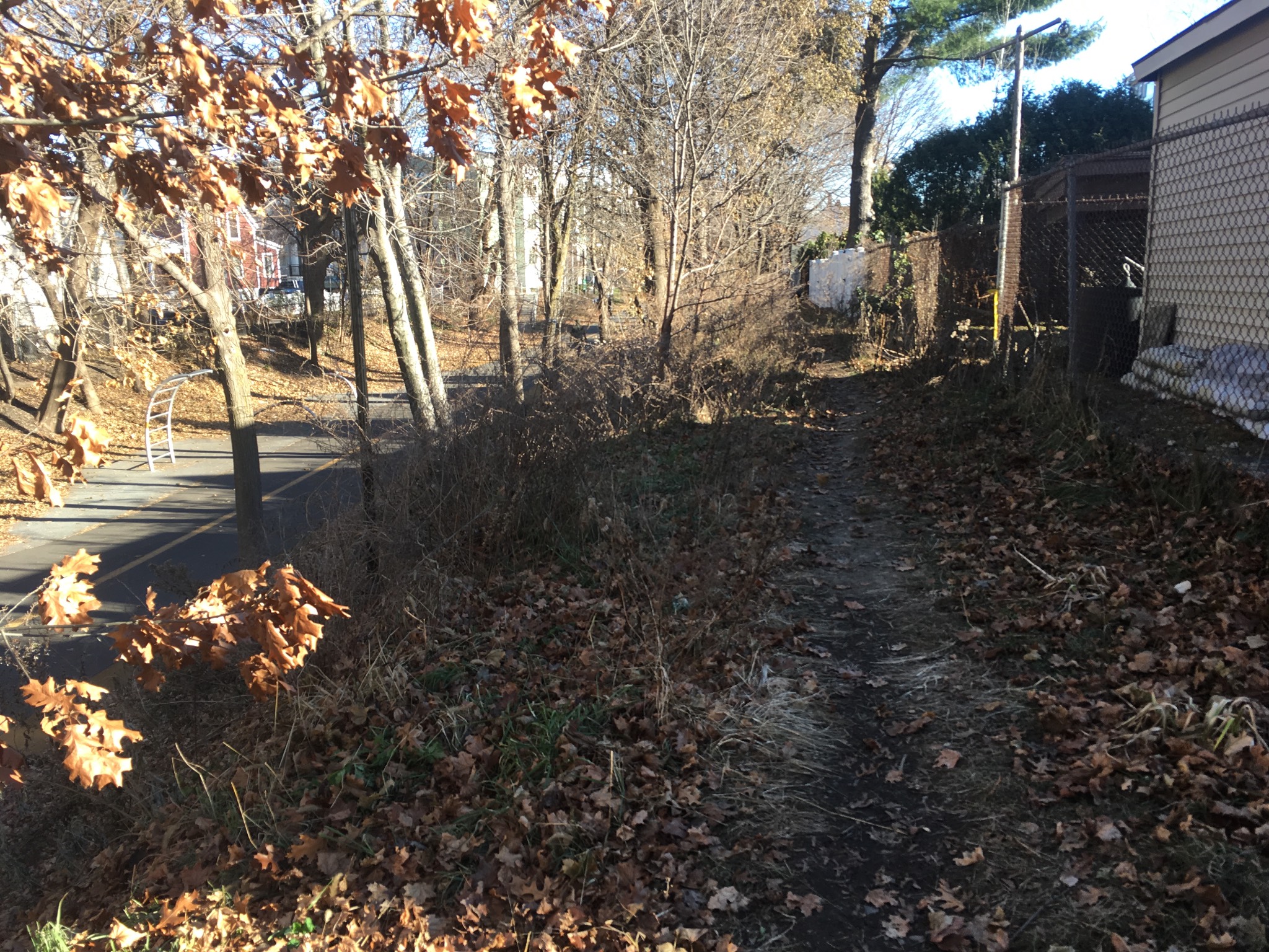 I've seen some dogs and kids up on the hill next to the bike path. I finally went up there and found